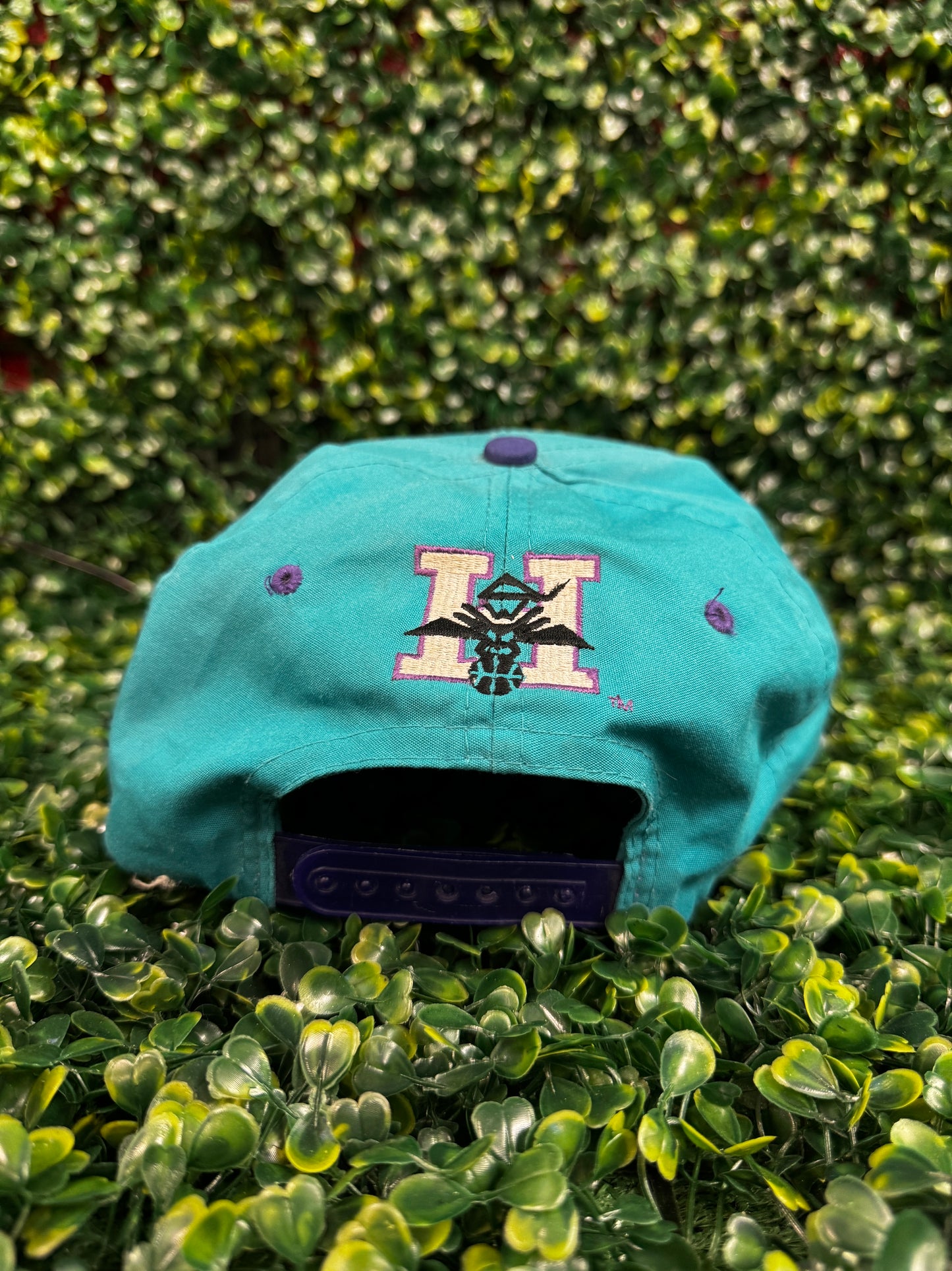 Vintage 90’s Charlotte Hornets SnapBack