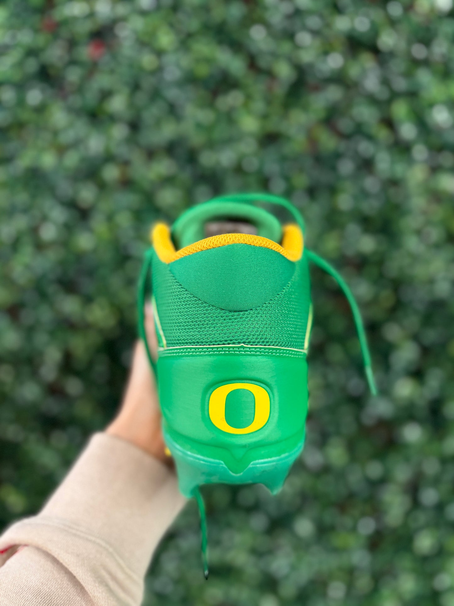 Nike Alpha Oregon Cleats