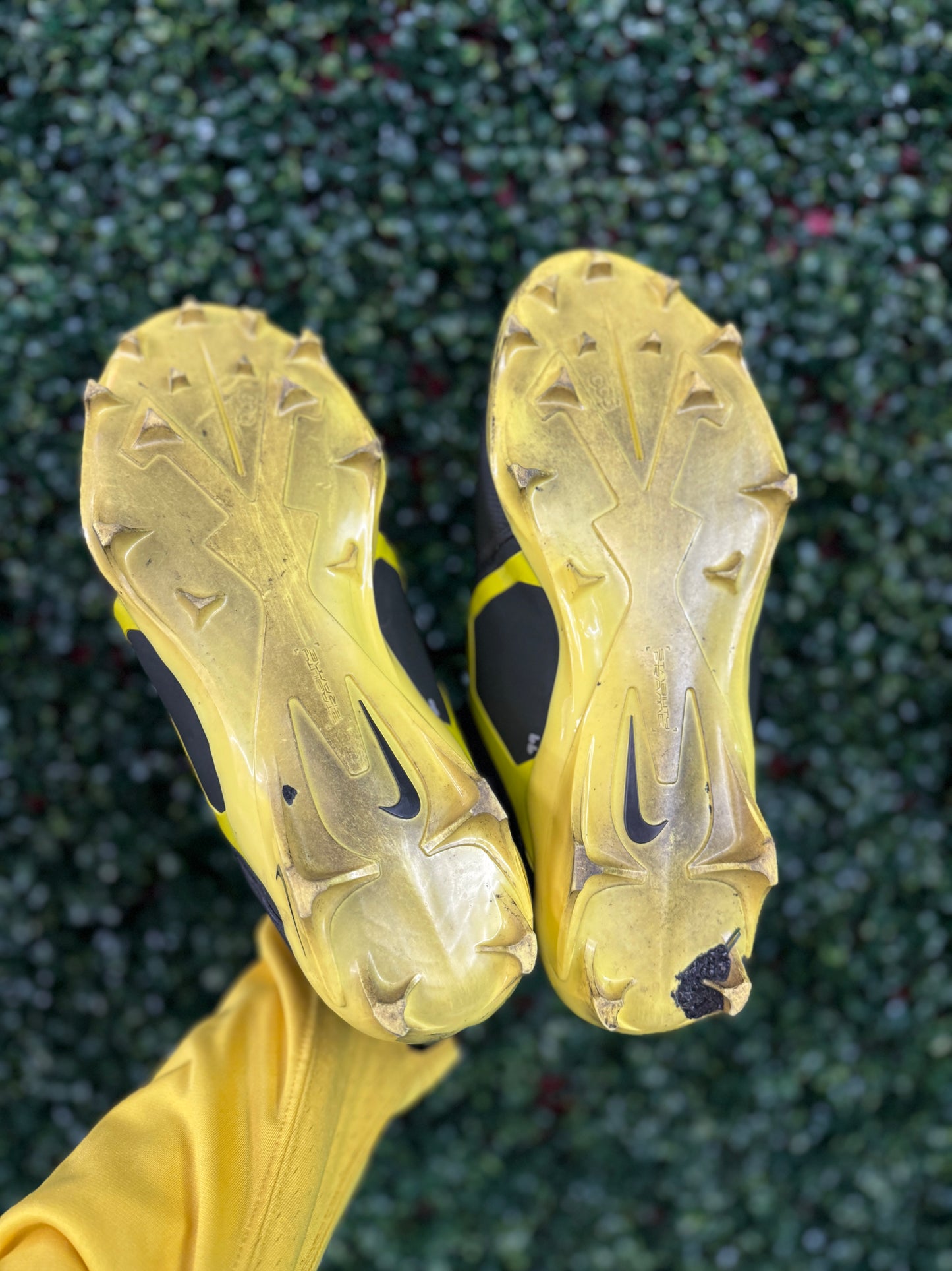 Oregon Alpha Cleats (2022 USED)