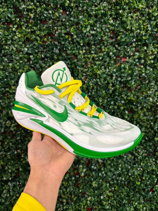 Oregon GT Cut 2 PE