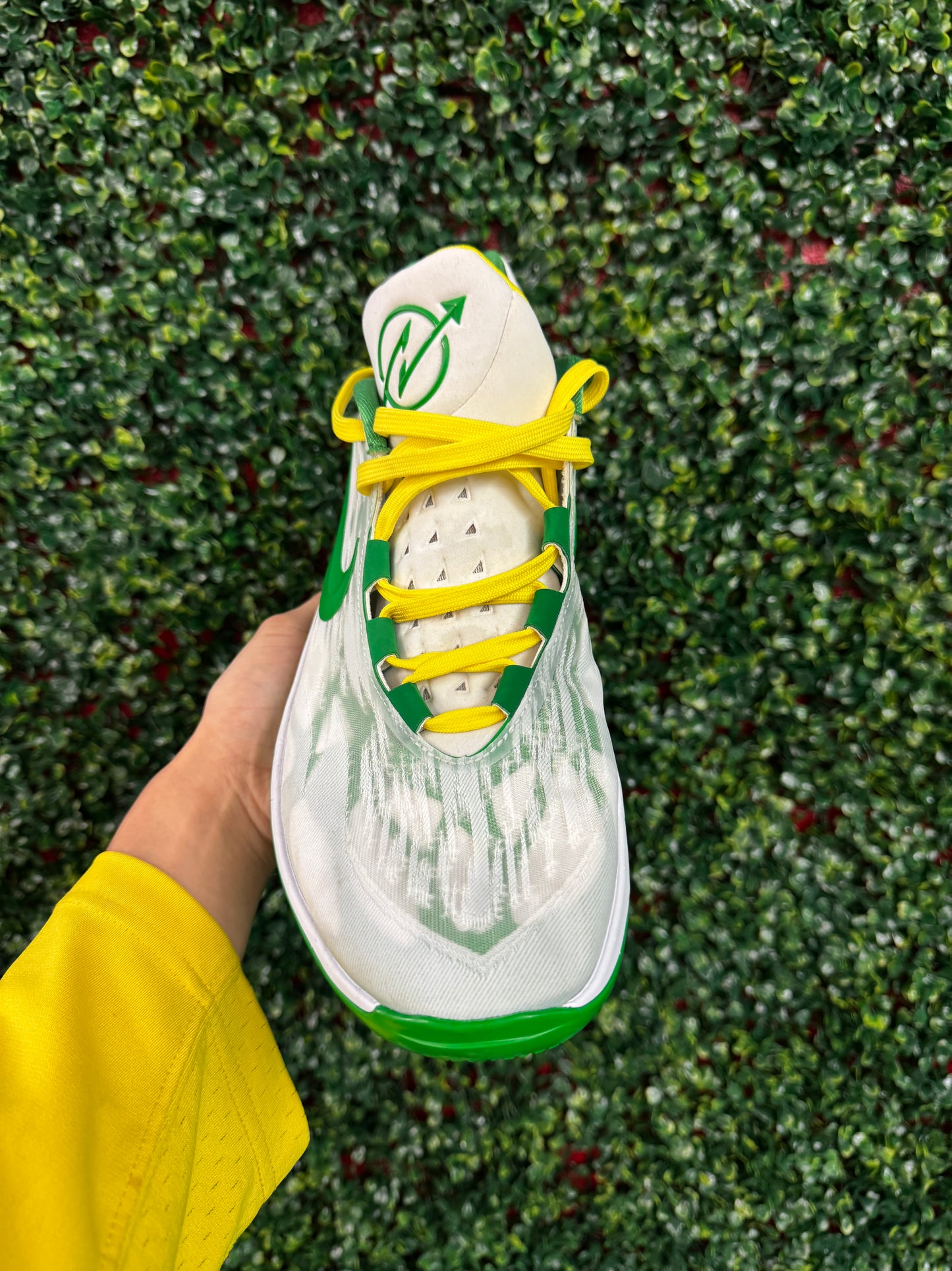 Oregon GT Cut 2 PE