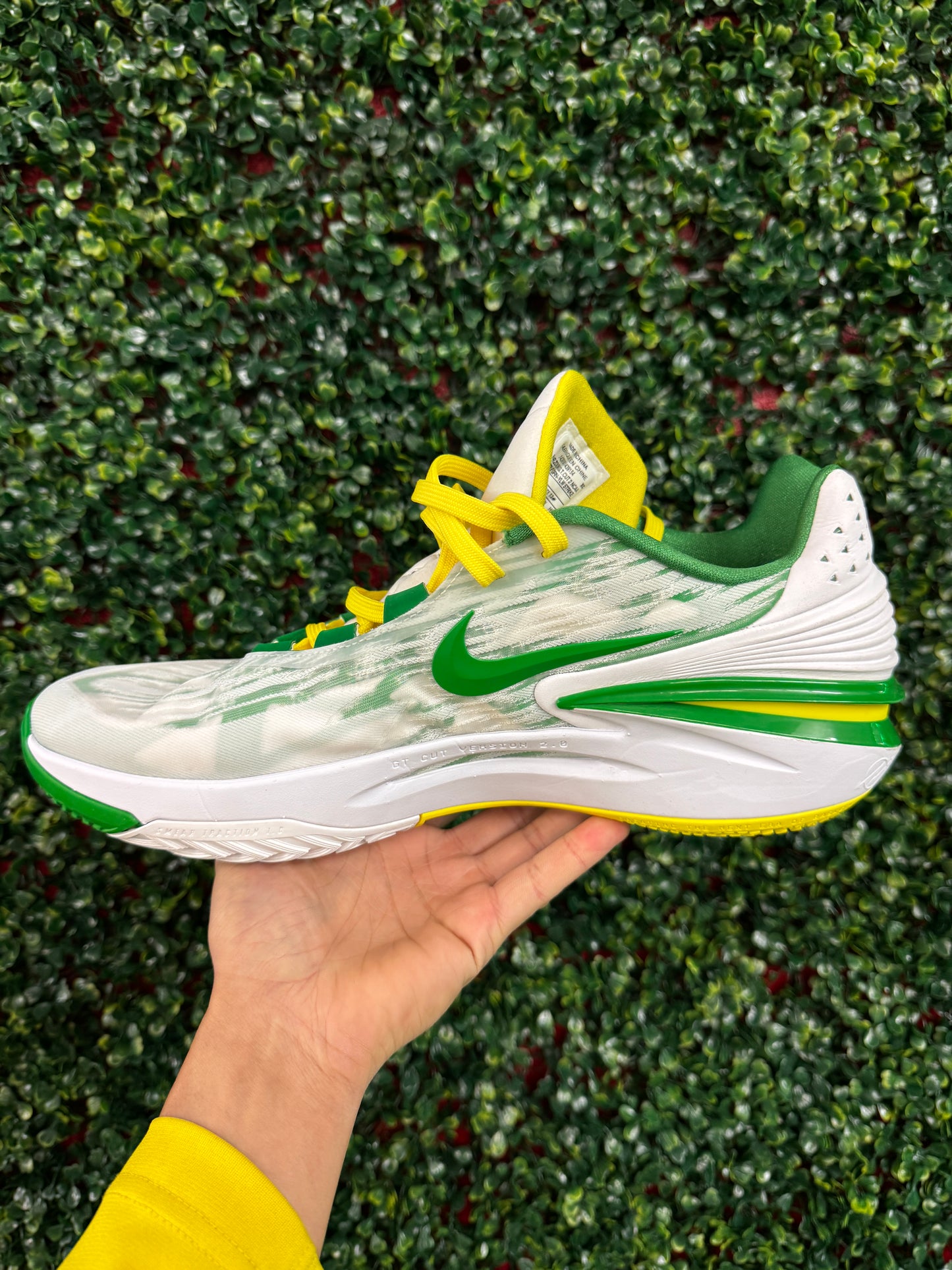 Oregon GT Cut 2 PE