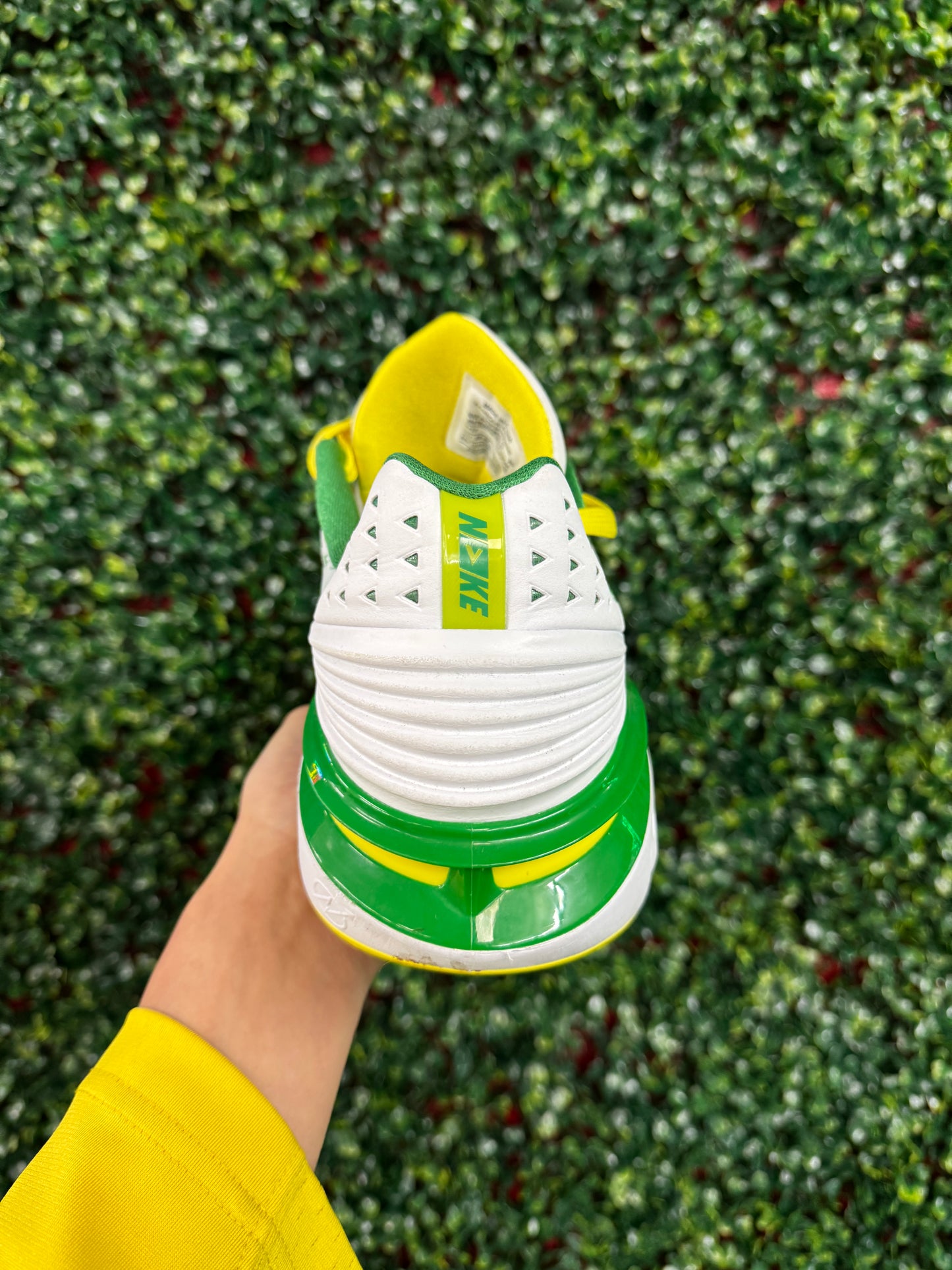 Oregon GT Cut 2 PE