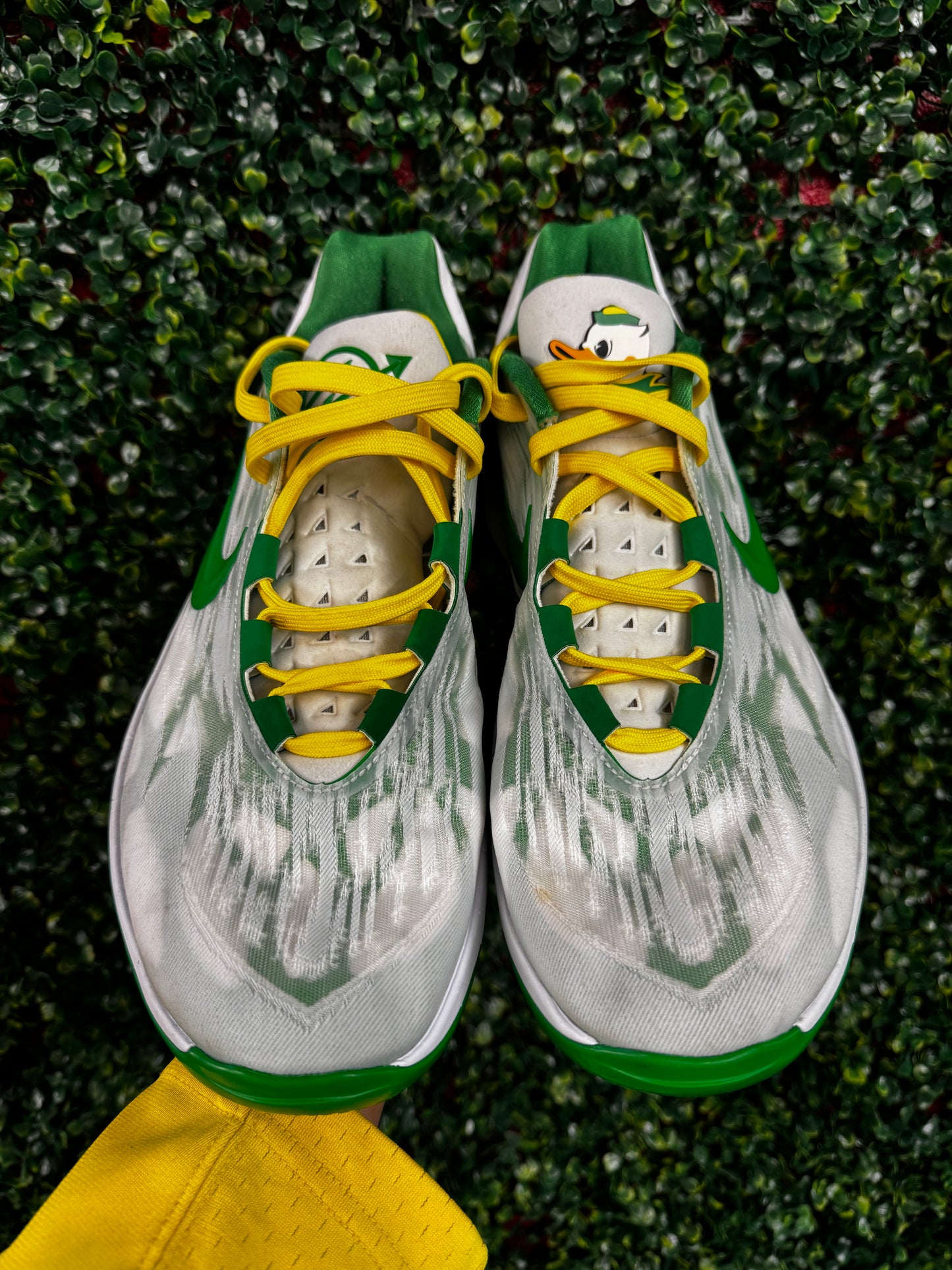 Oregon GT Cut 2 PE