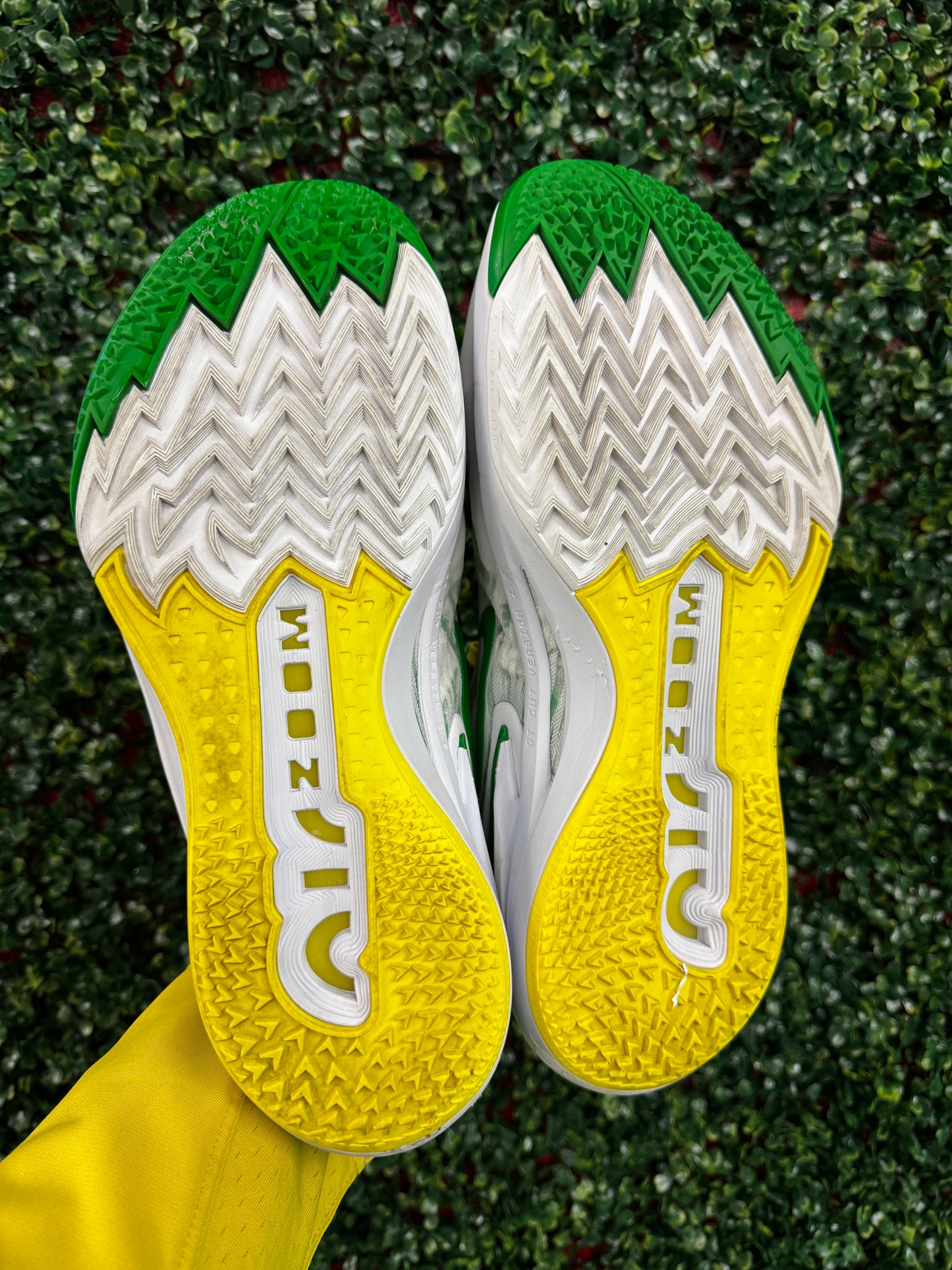 Oregon GT Cut 2 PE