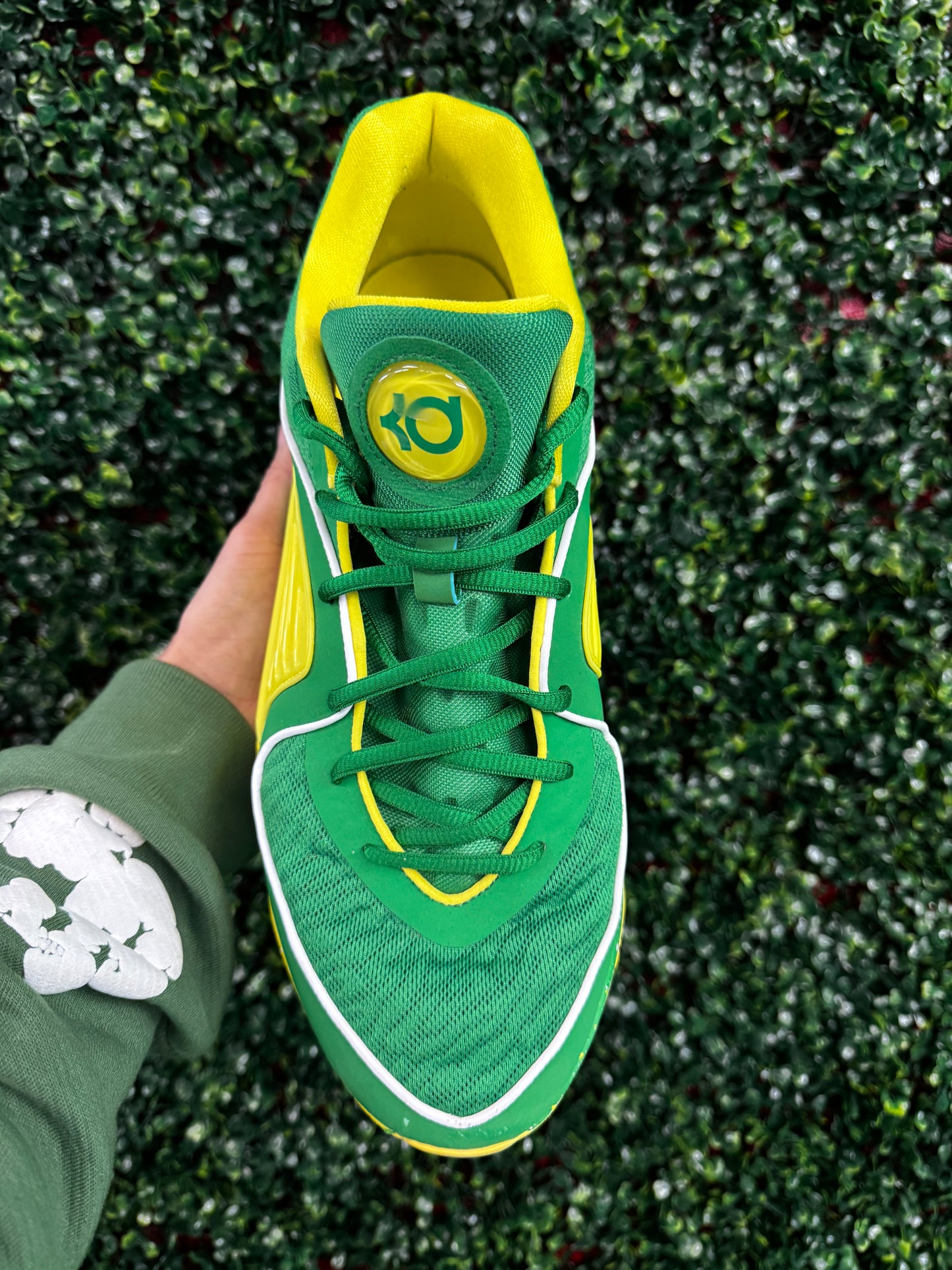 KD16 Oregon PE