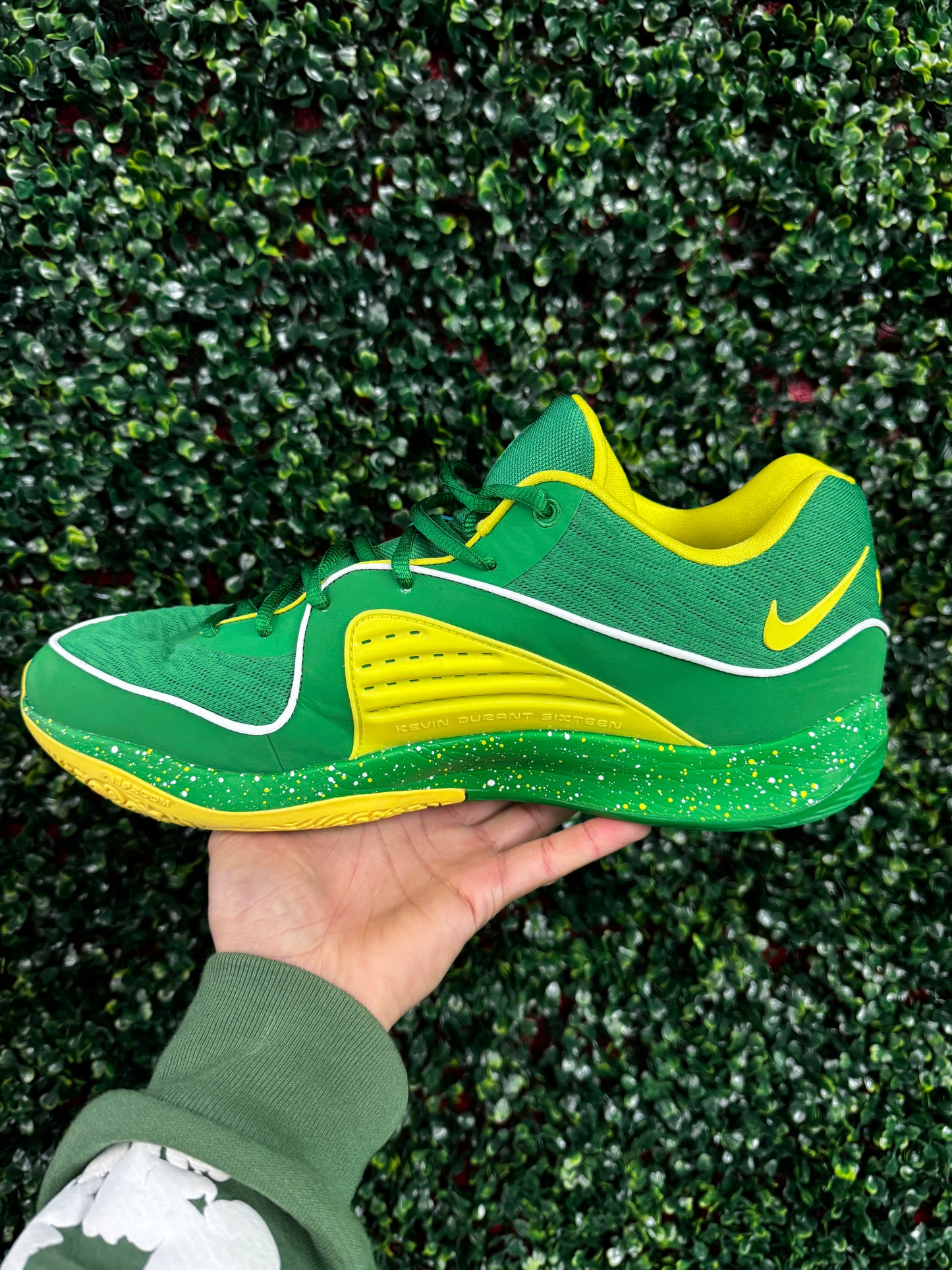 KD16 Oregon PE