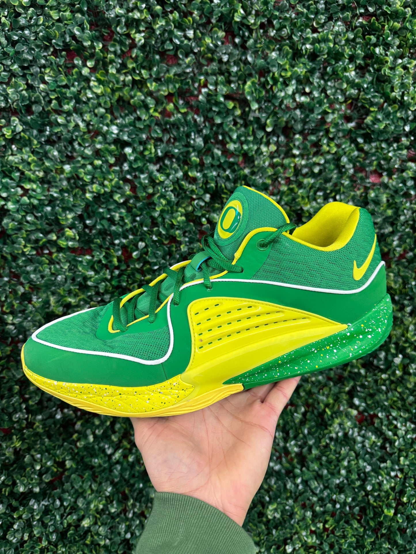 KD16 Oregon PE