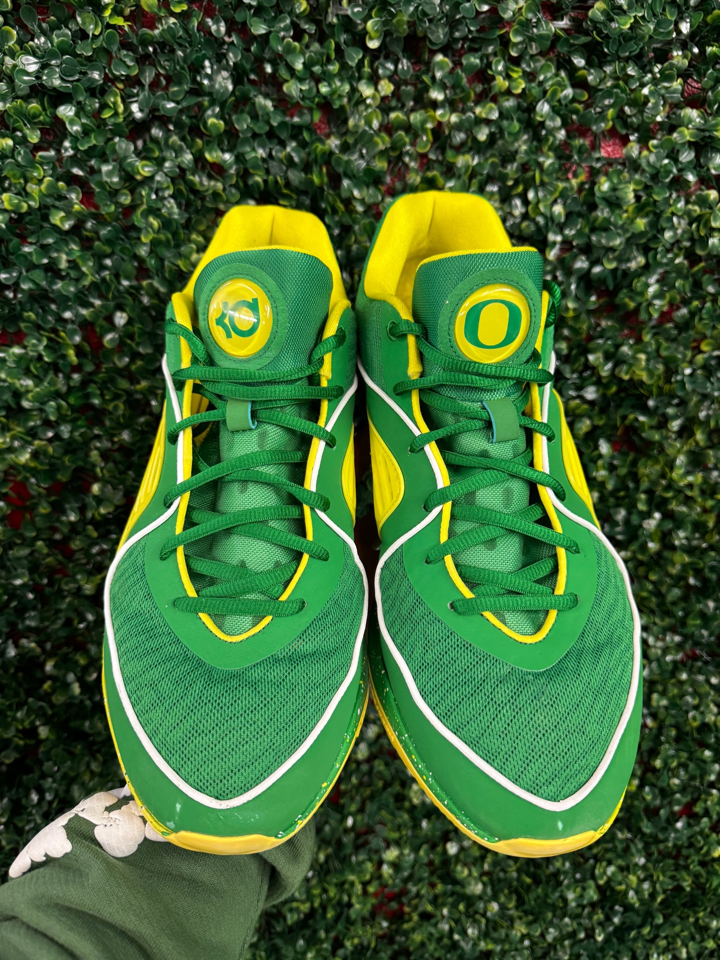 KD16 Oregon PE