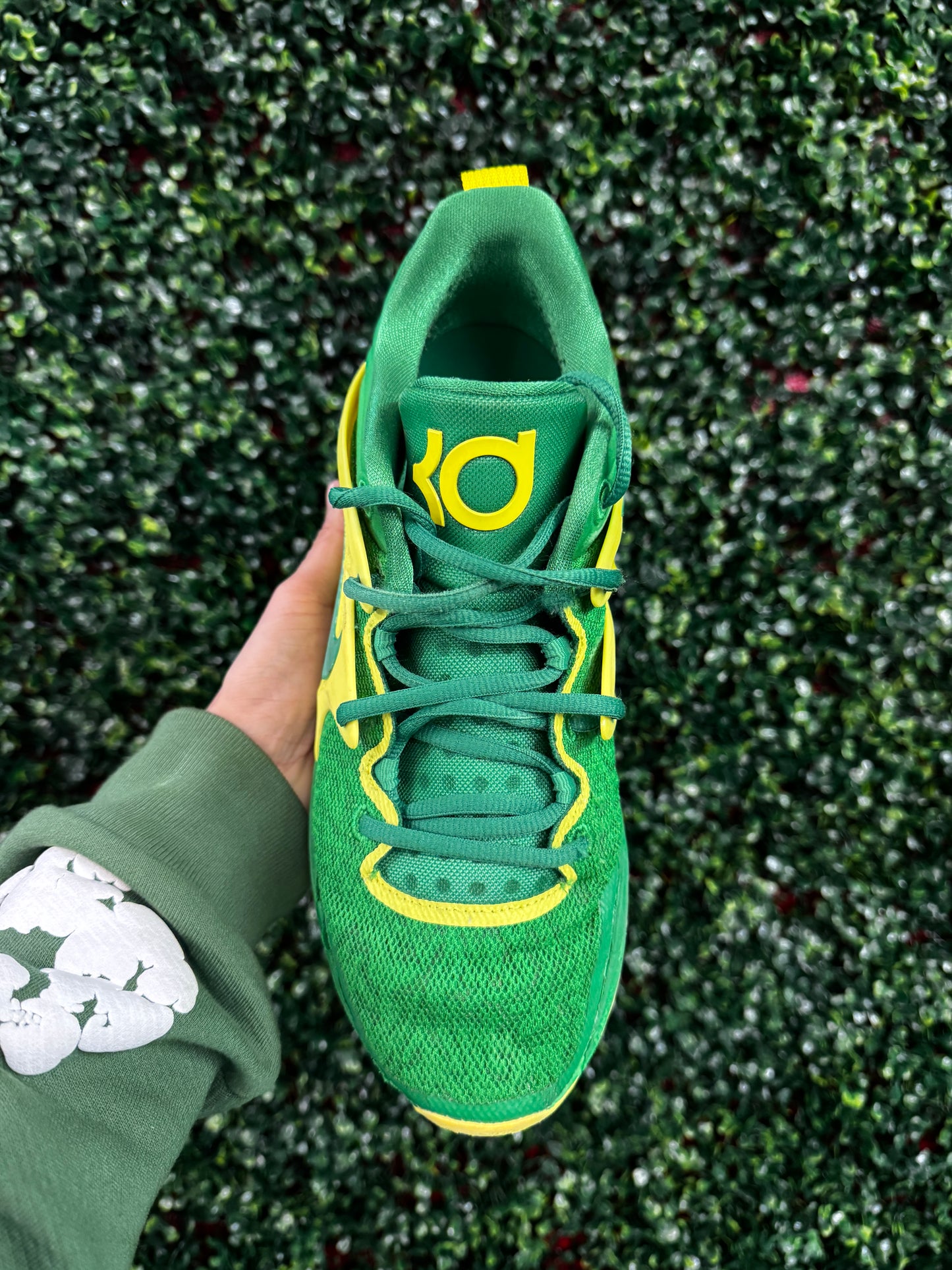 KD15 Oregon PE