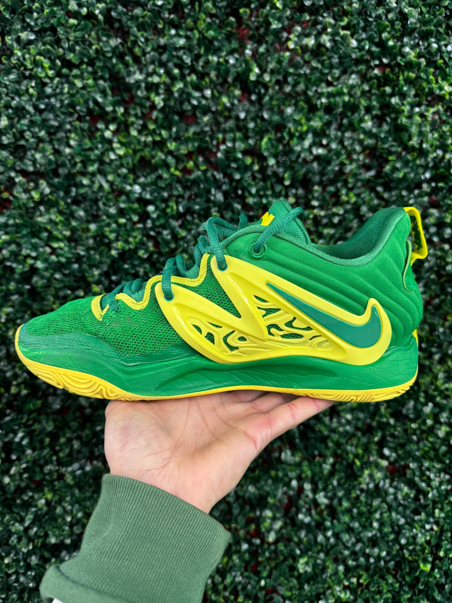 KD15 Oregon PE