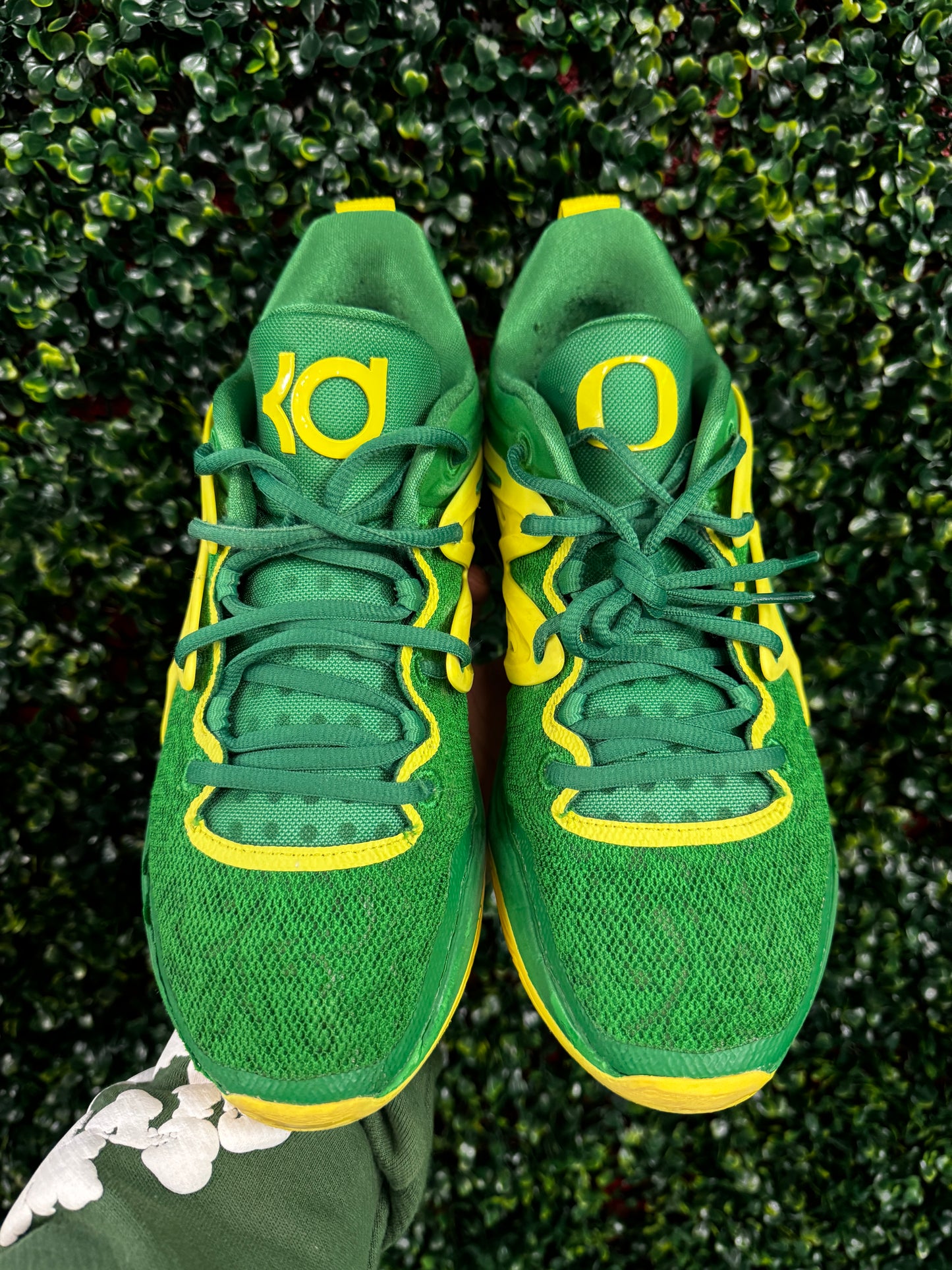 KD15 Oregon PE