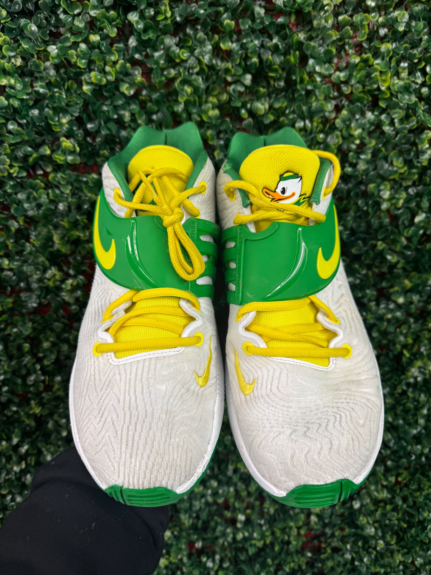 KD14 Oregon PE