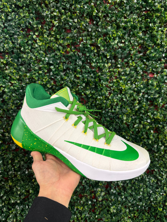 Hyper Dunk 2015 Oregon PE