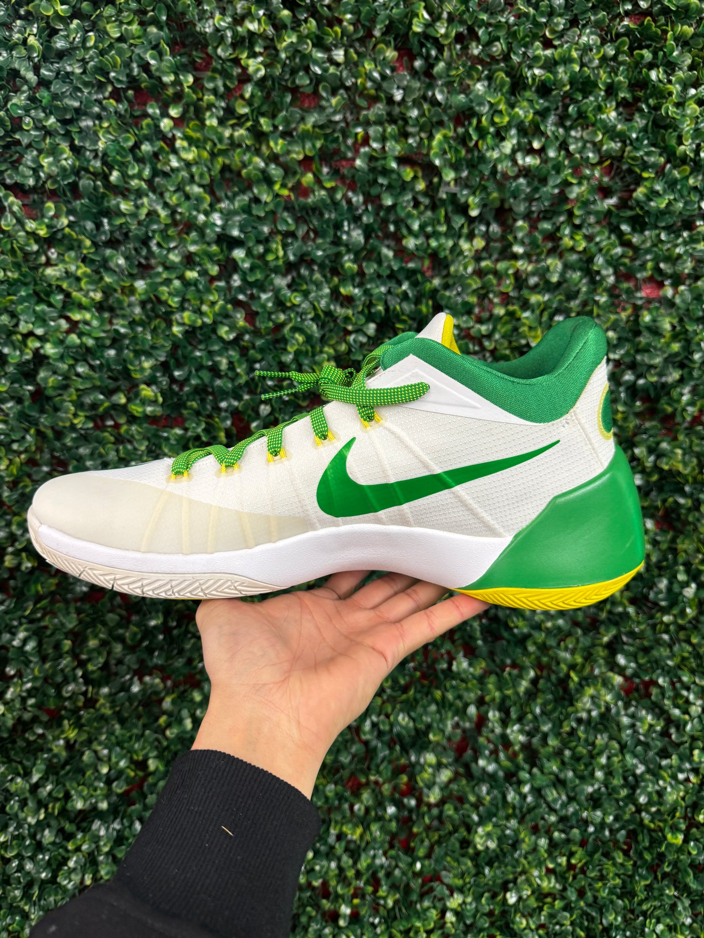 Hyper Dunk 2015 Oregon PE