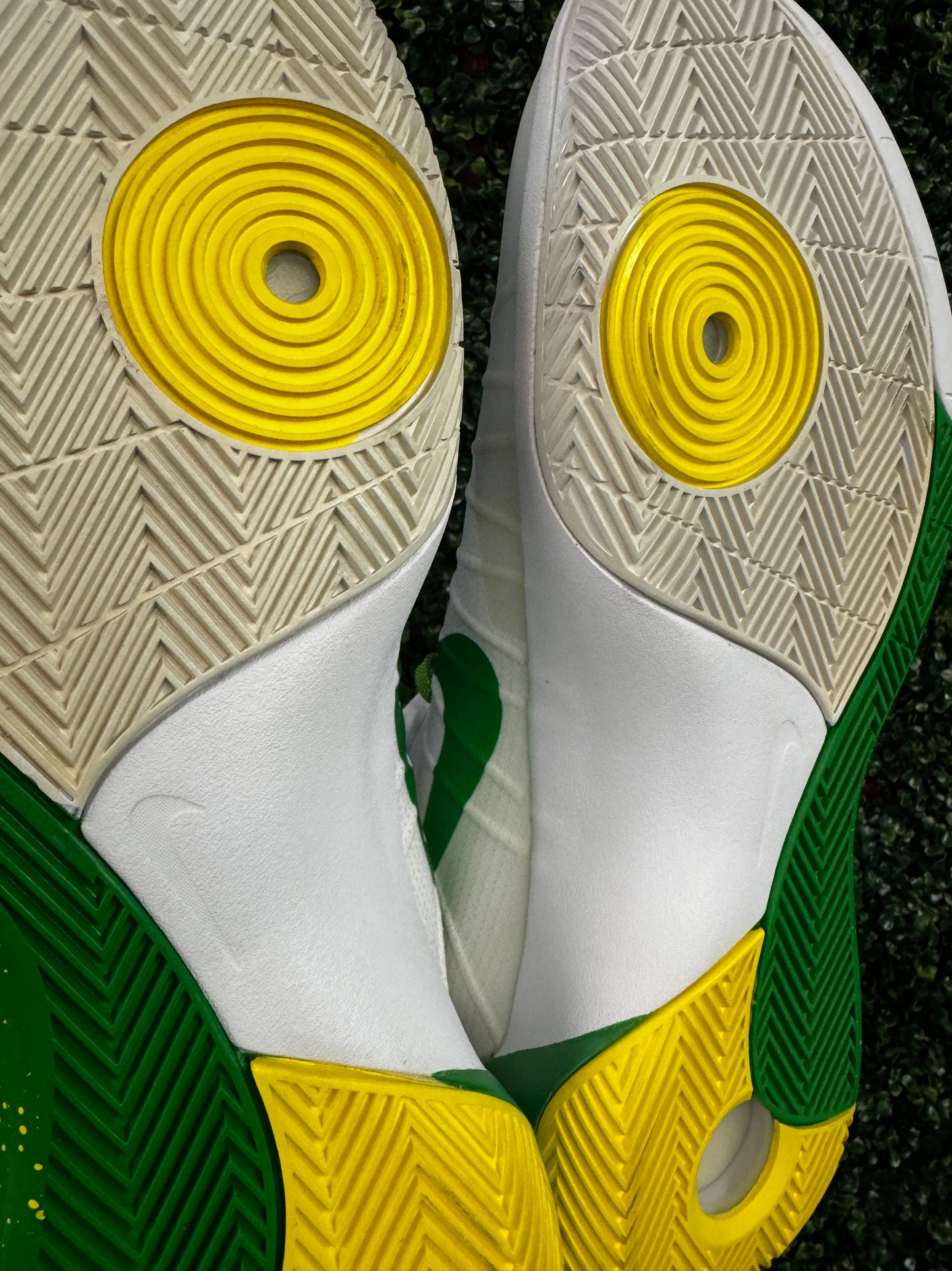 Hyper Dunk 2015 Oregon PE