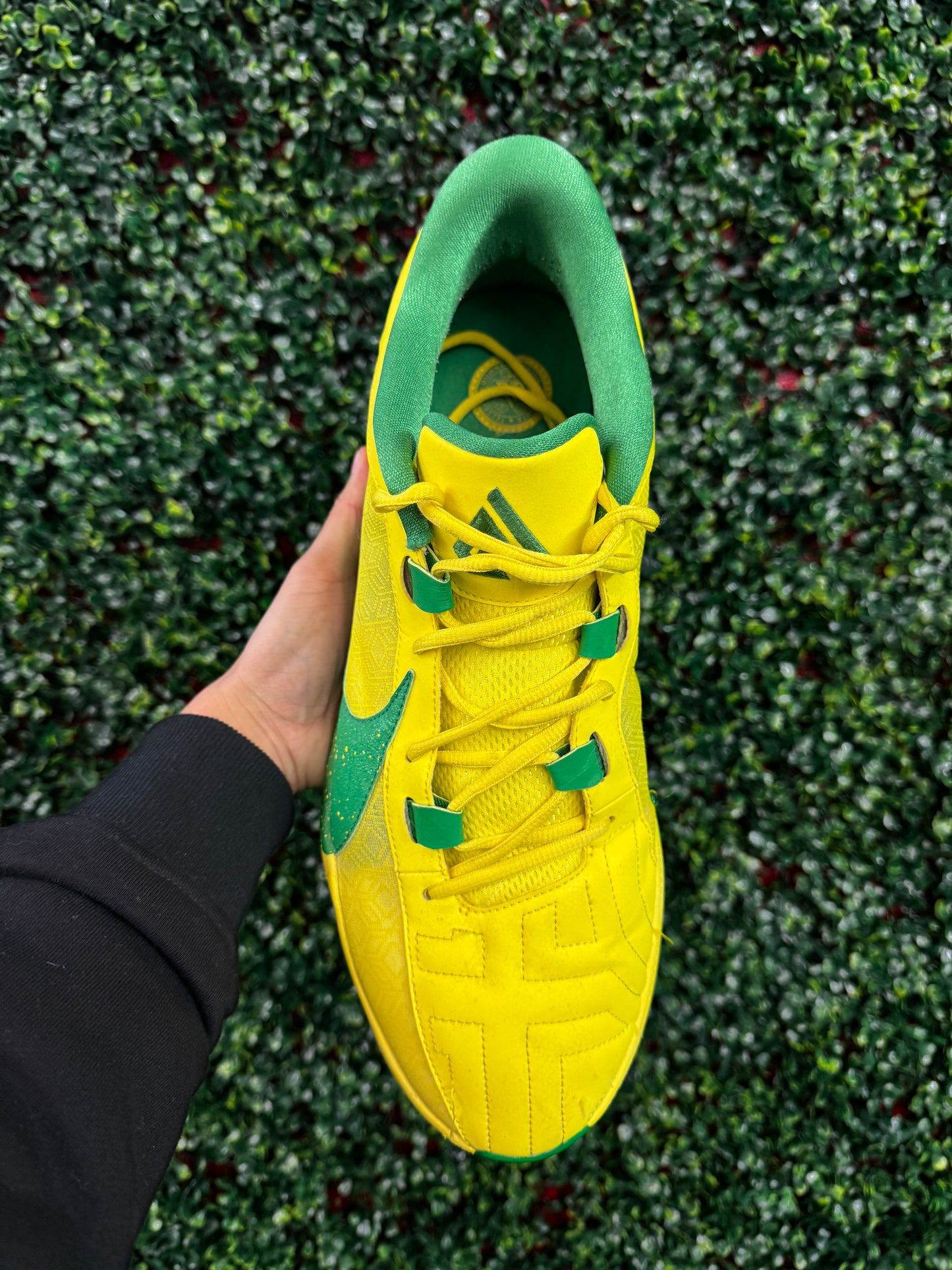 Zoom Freak 5 Oregon PE