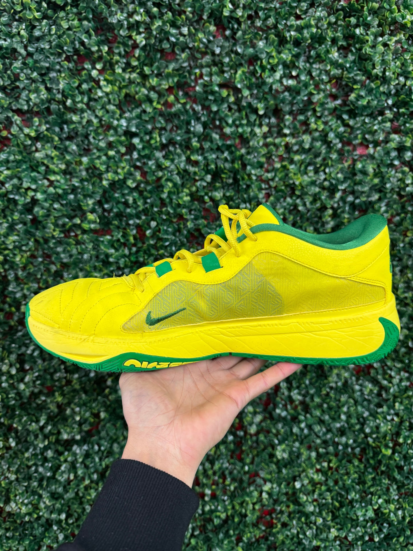 Zoom Freak 5 Oregon PE