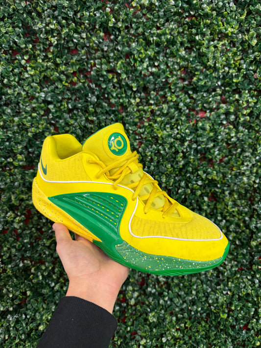 KD16 Oregon PE