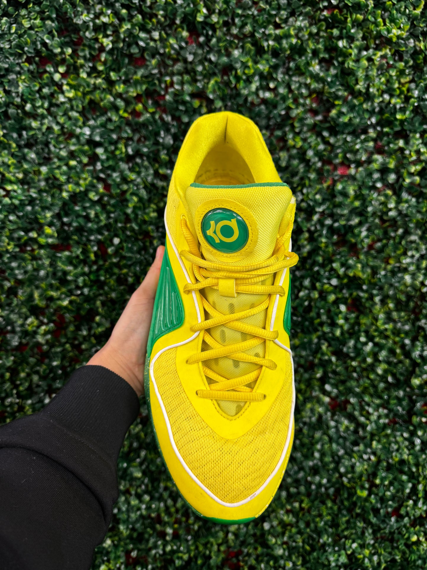 KD16 Oregon PE