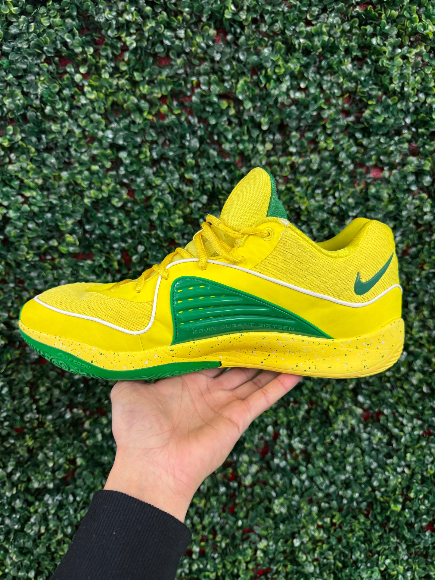 KD16 Oregon PE