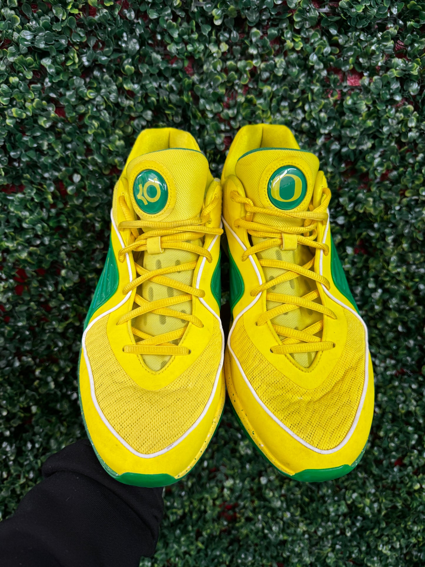 KD16 Oregon PE