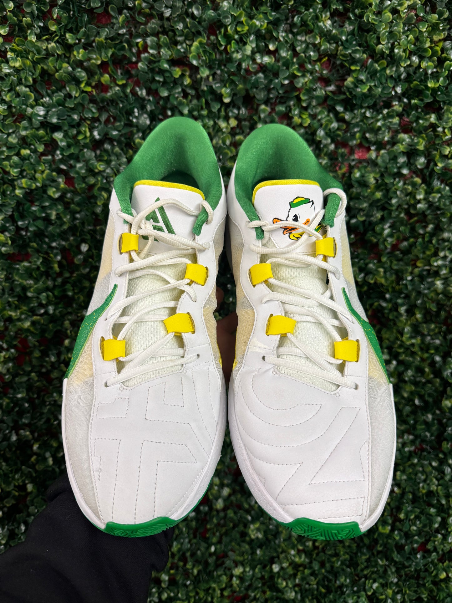 Zoom Freak 5 Oregon PE