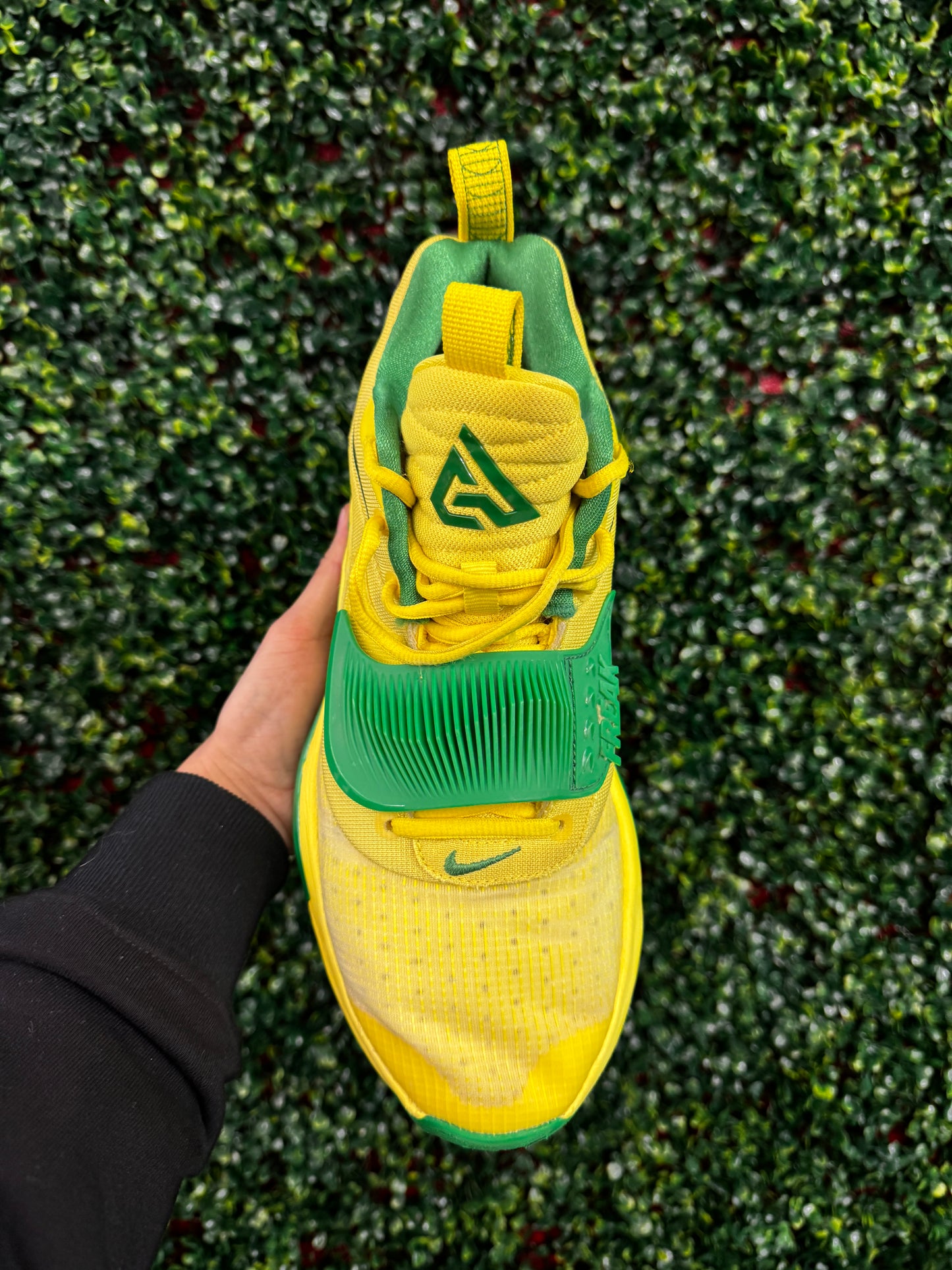 Zoom Freak 3 Oregon PE