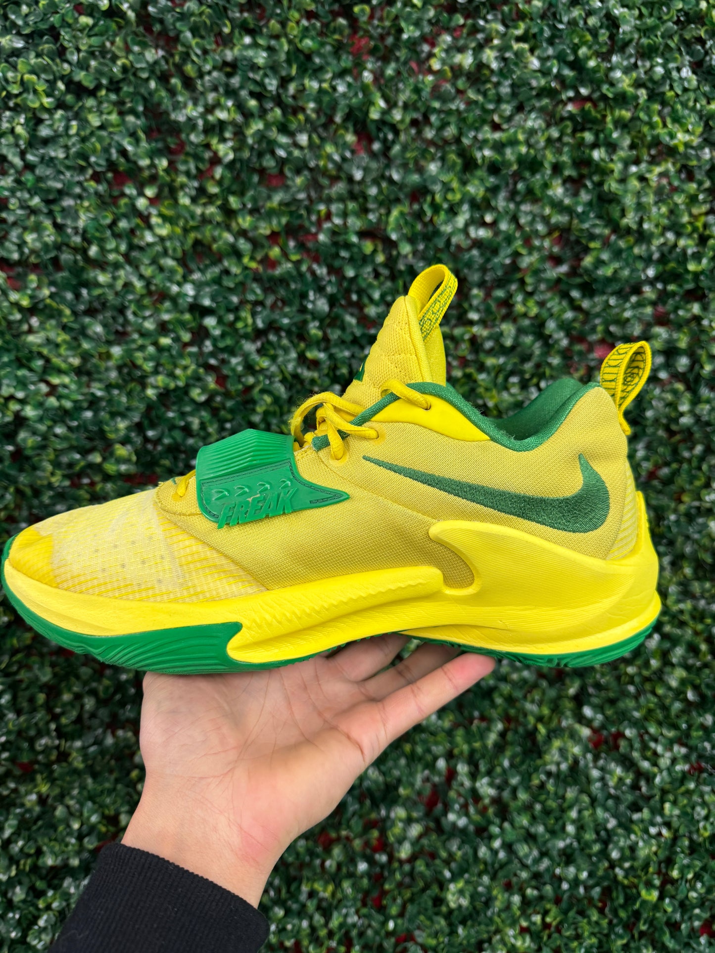 Zoom Freak 3 Oregon PE