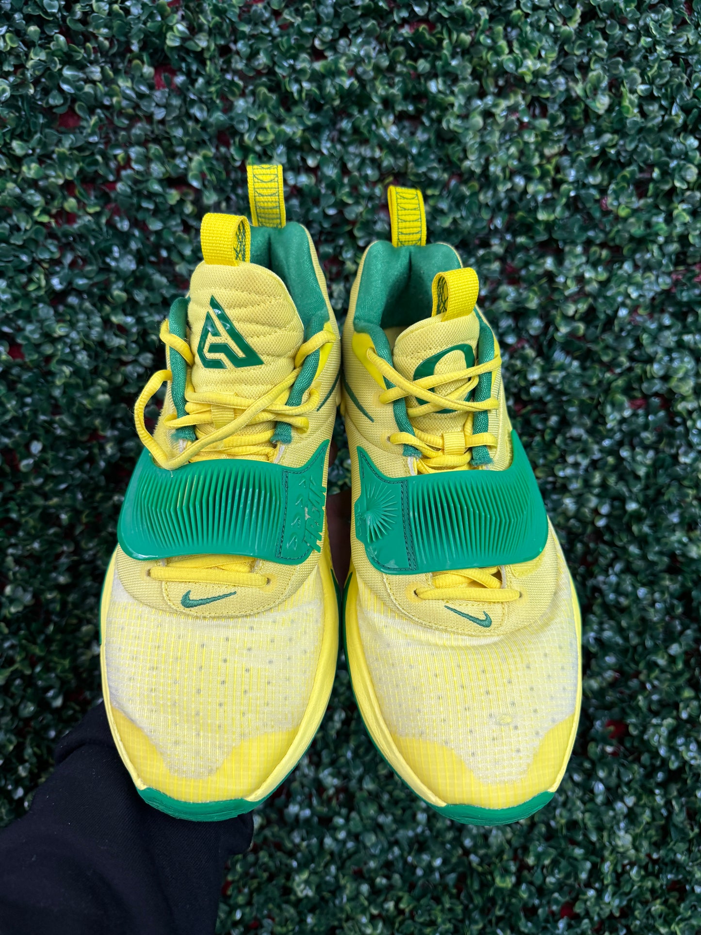 Zoom Freak 3 Oregon PE