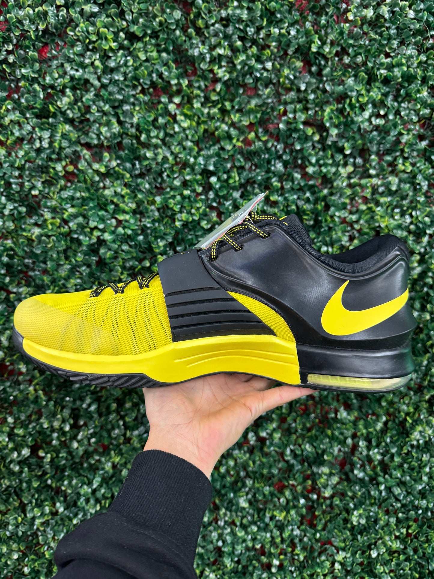 KD 7 Oregon PE