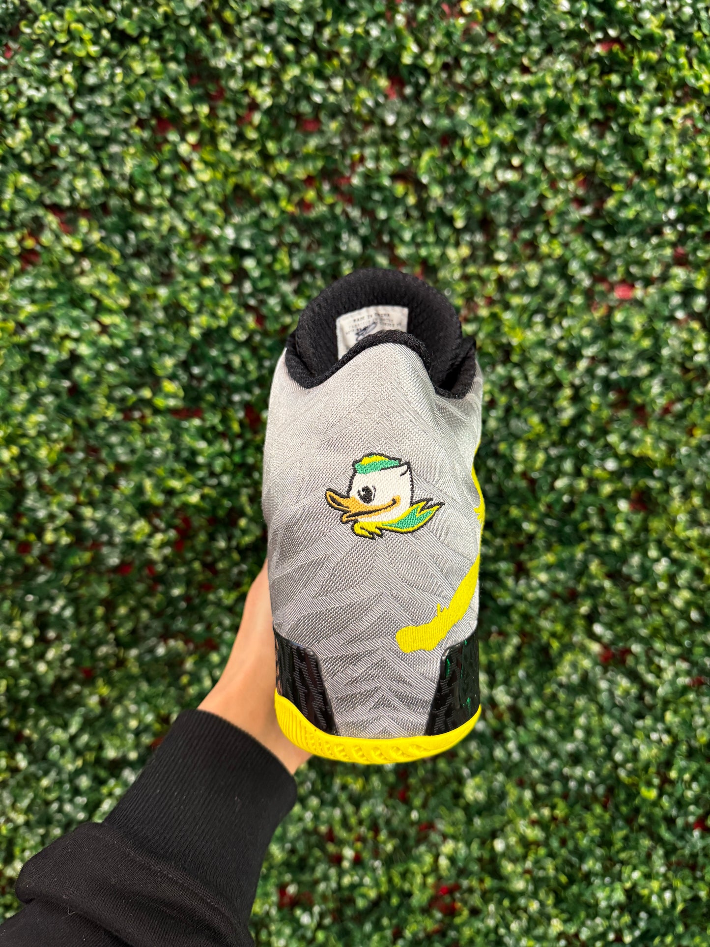 Jordan 29 Oregon PE