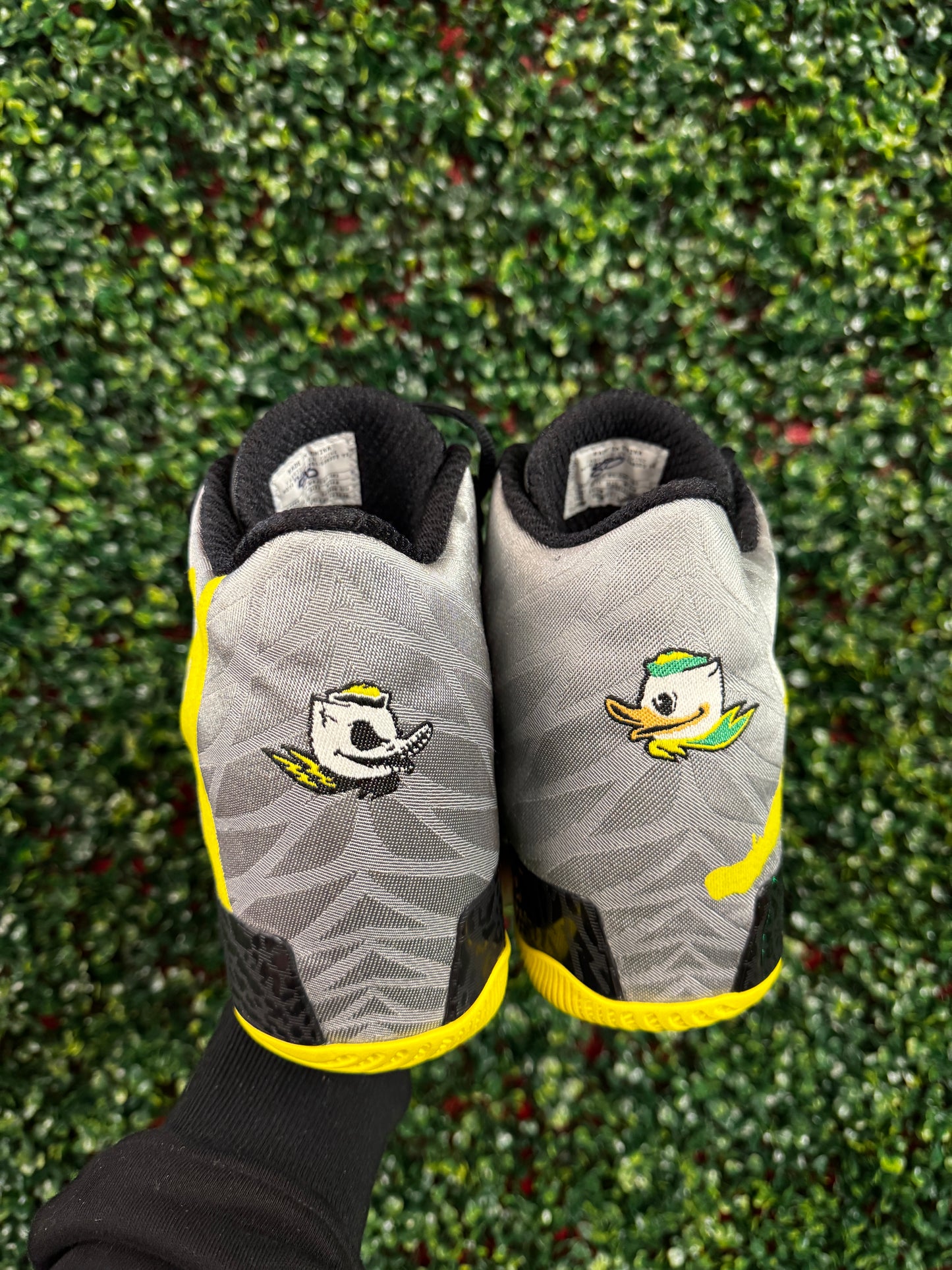 Jordan 29 Oregon PE