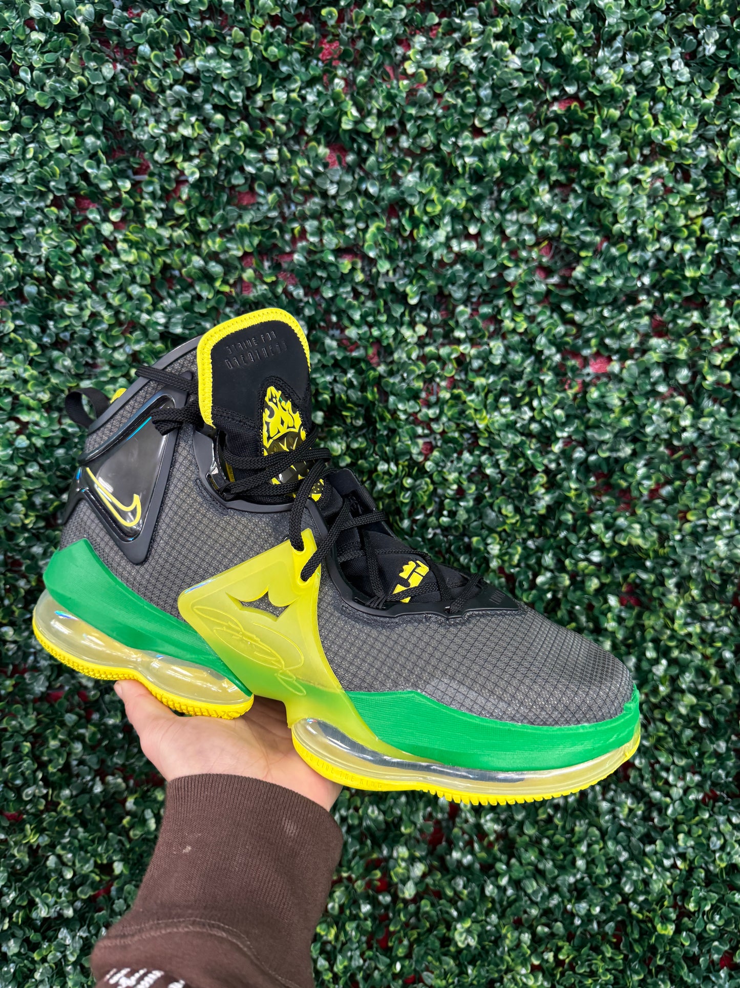 Lebron 19 Oregon PE