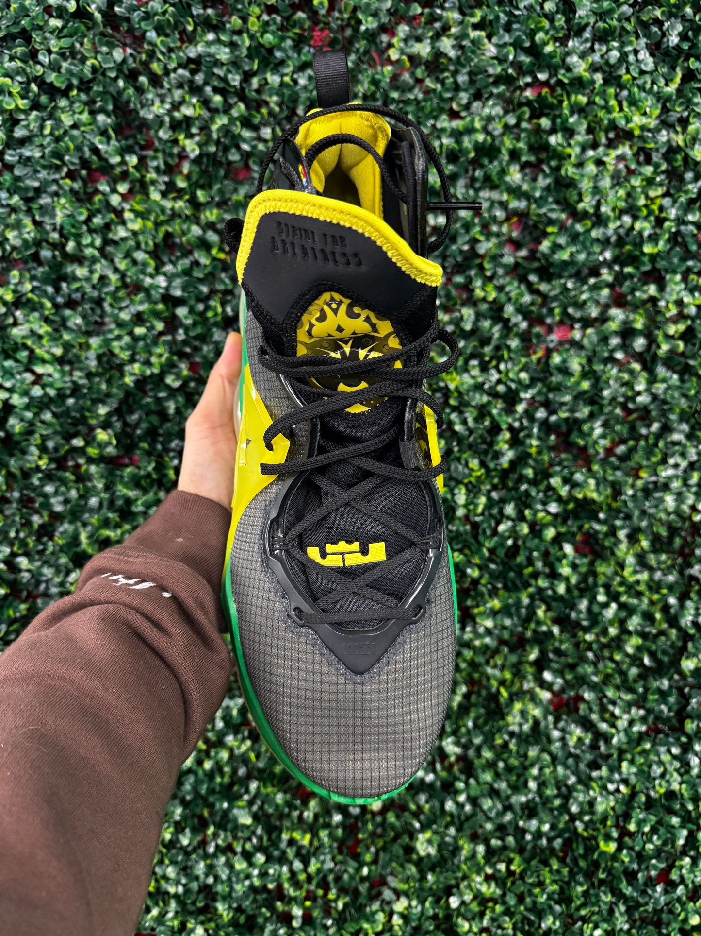 Lebron 19 Oregon PE