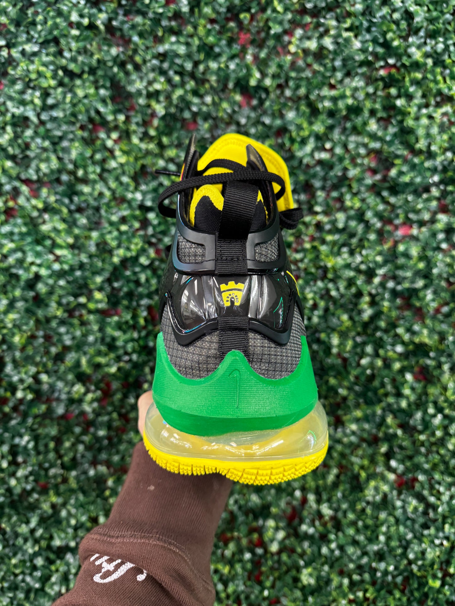 Lebron 19 Oregon PE