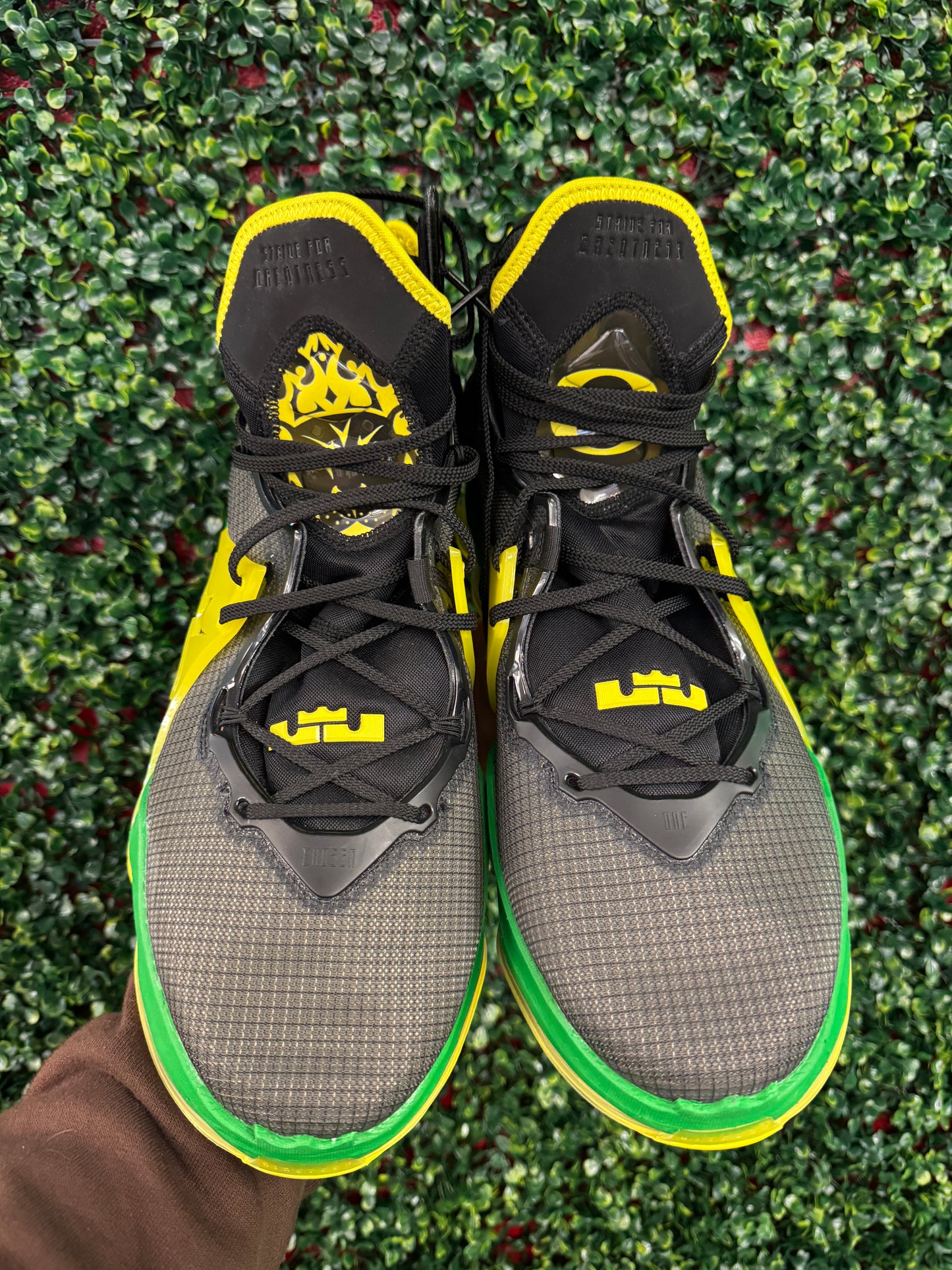 Lebron 19 Oregon PE