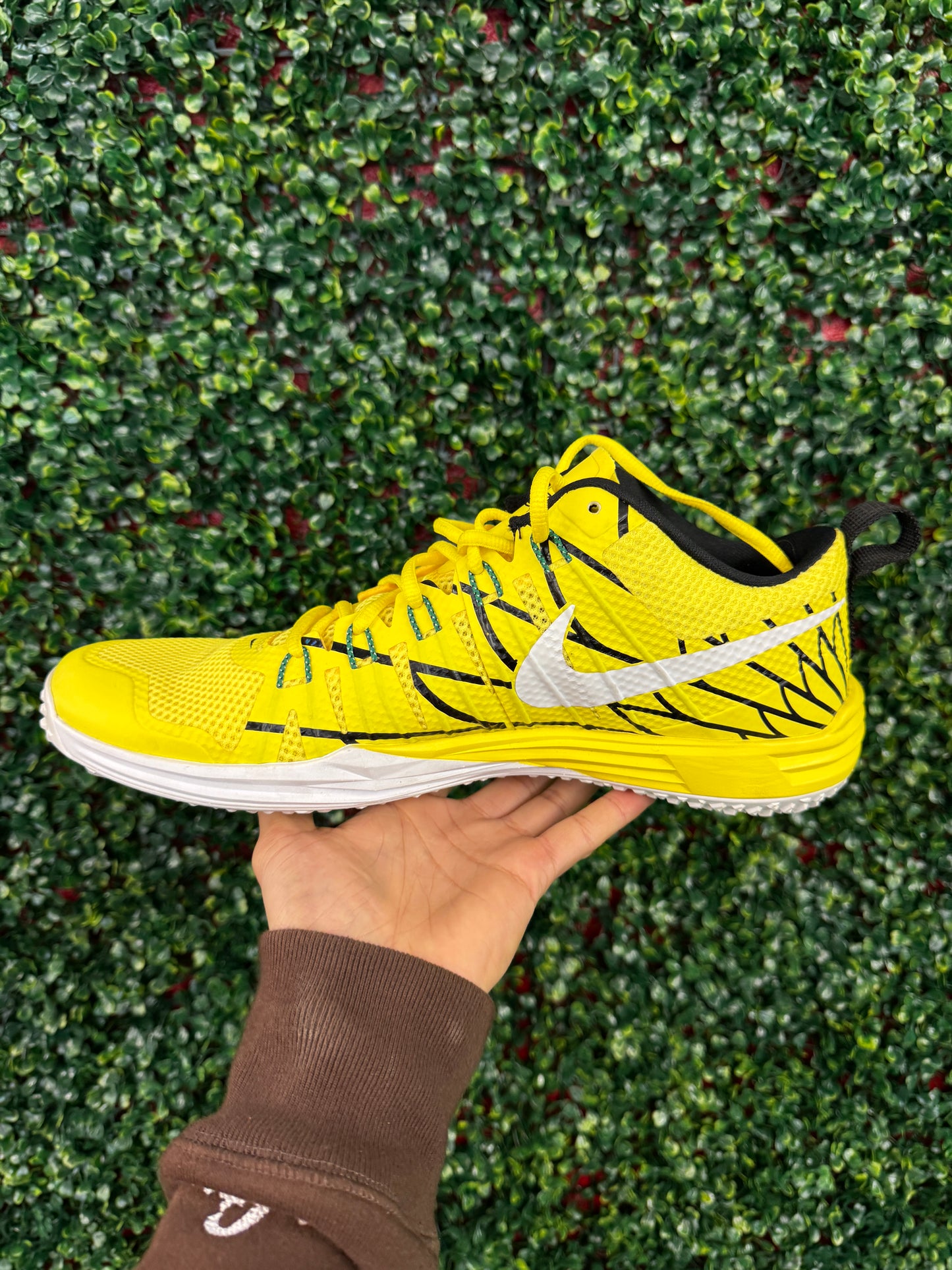 Nike Lunar TR1 Oregon PE