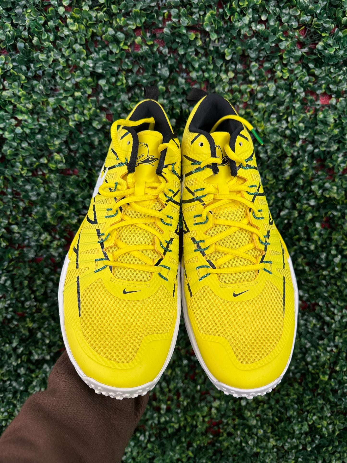 Nike Lunar TR1 Oregon PE