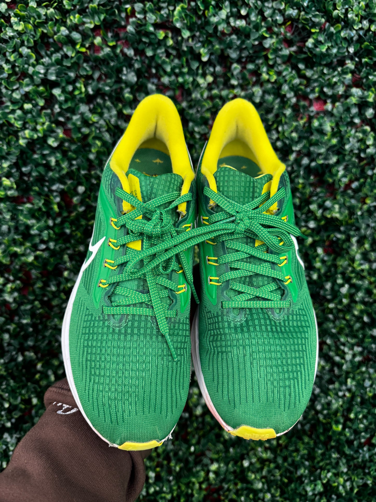 Nike Air Zoom Pegasus 39 Oregon PE