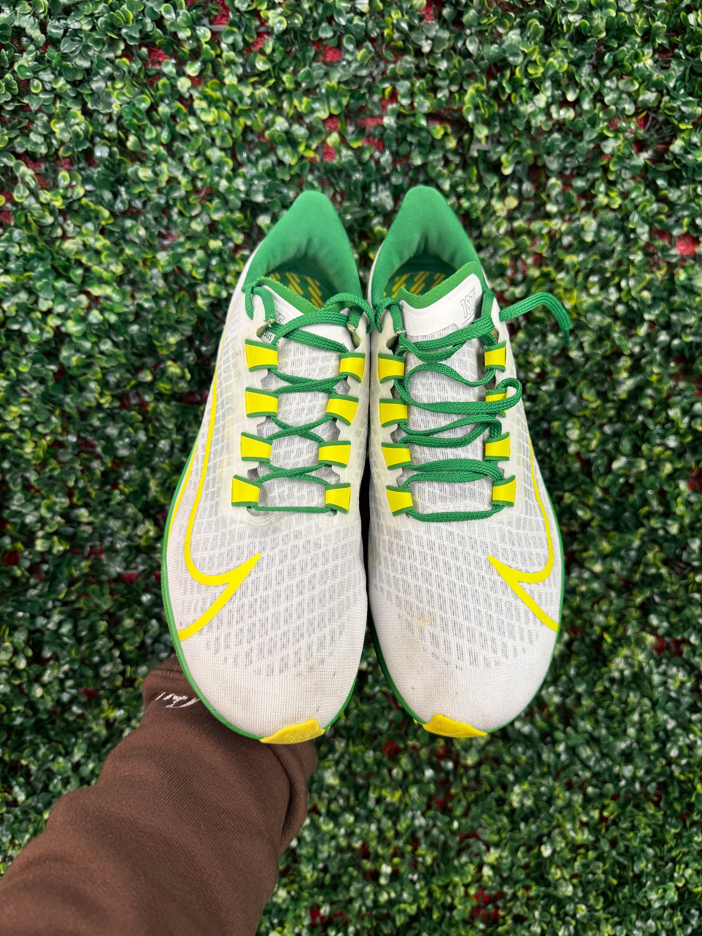 Nike Zoom Pegasus 37 Oregon PE