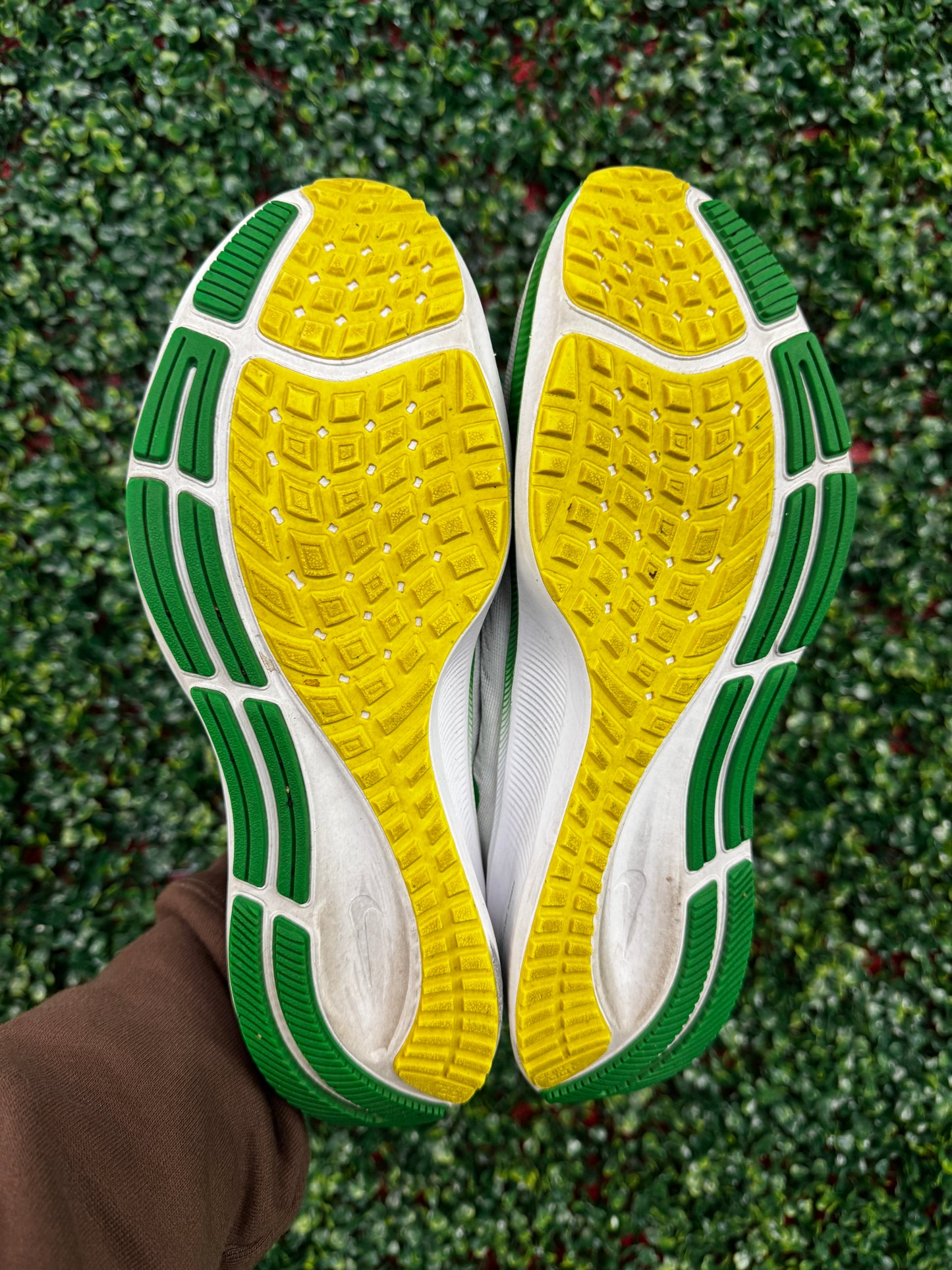 Nike Zoom Pegasus 37 Oregon PE