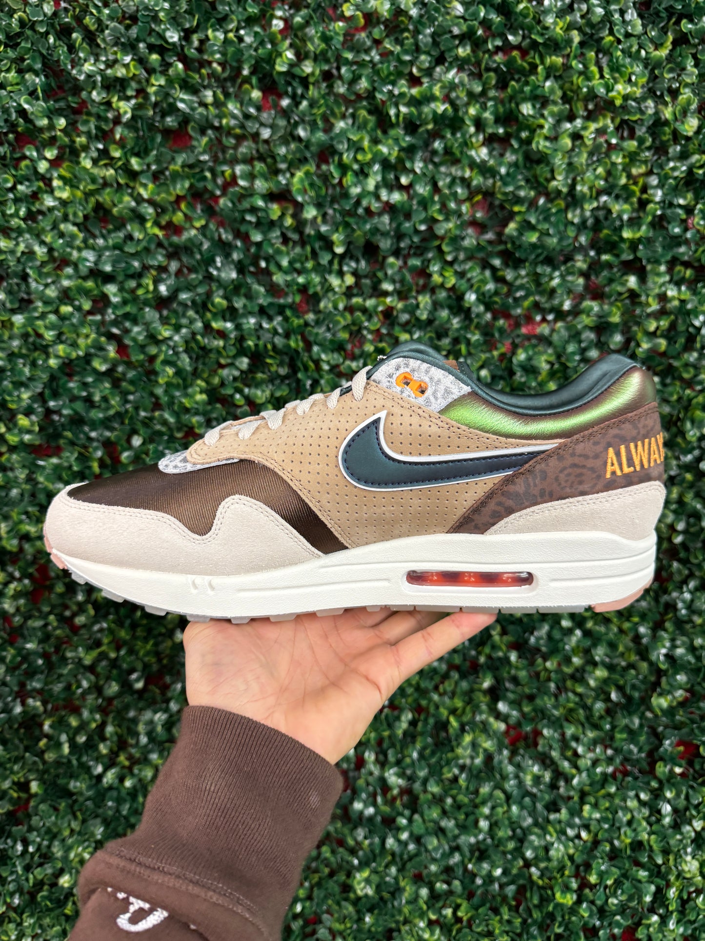 Nike Air Max 1 '87 Premium Oregon PE (2024)