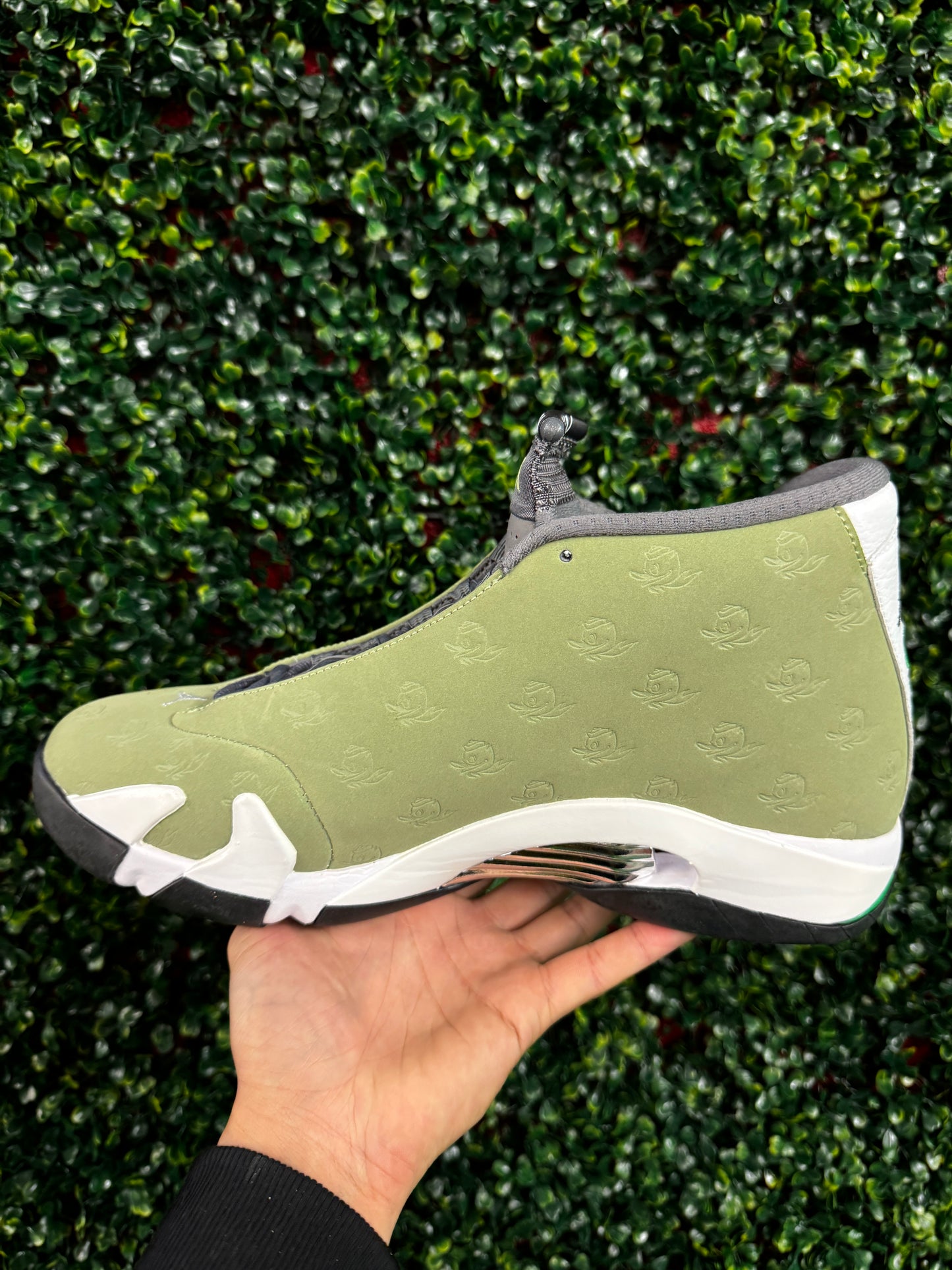 *RARE* Jordan 14 Oregon PE