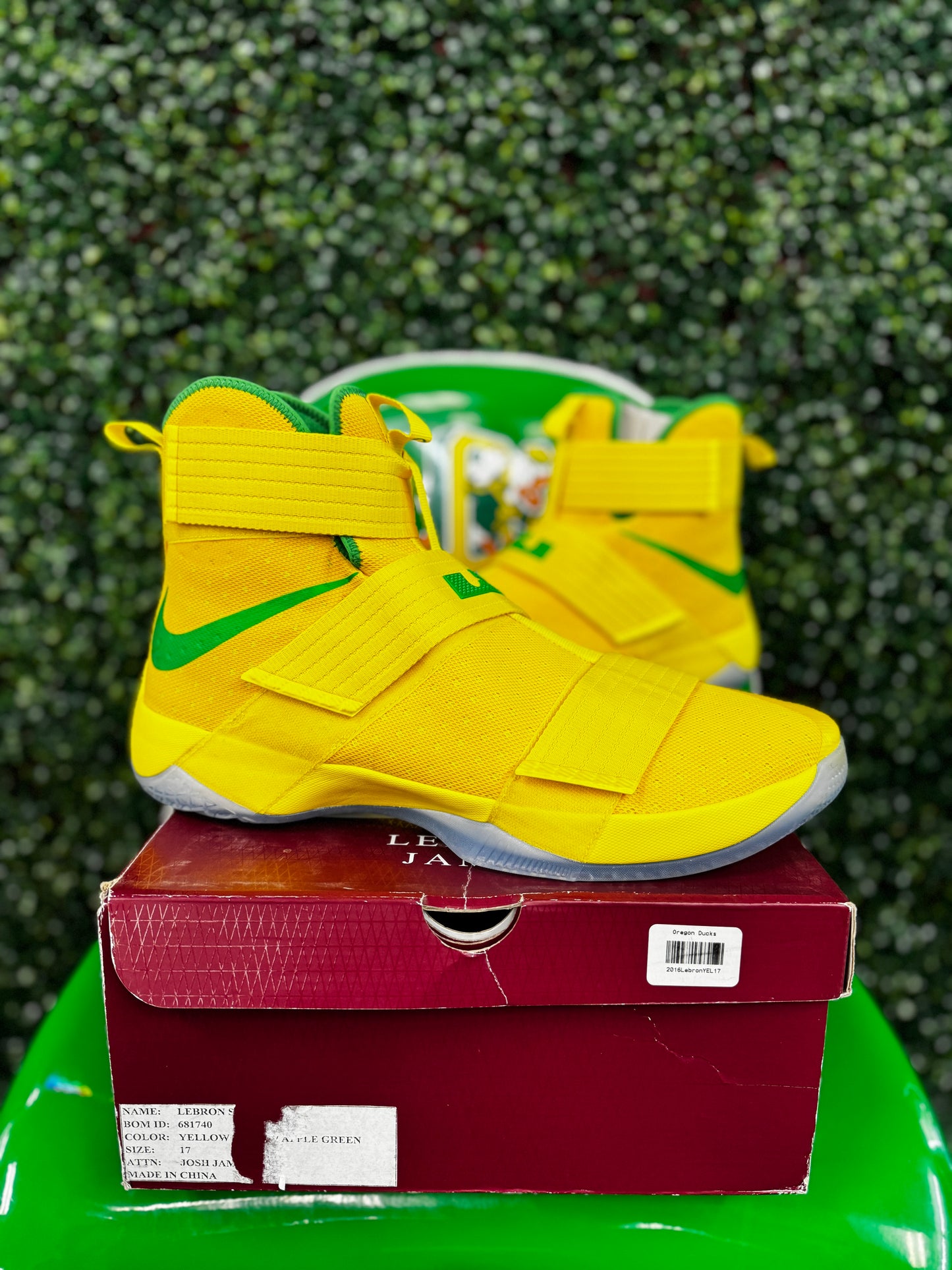 LeBron Soldier 10 Oregon PE