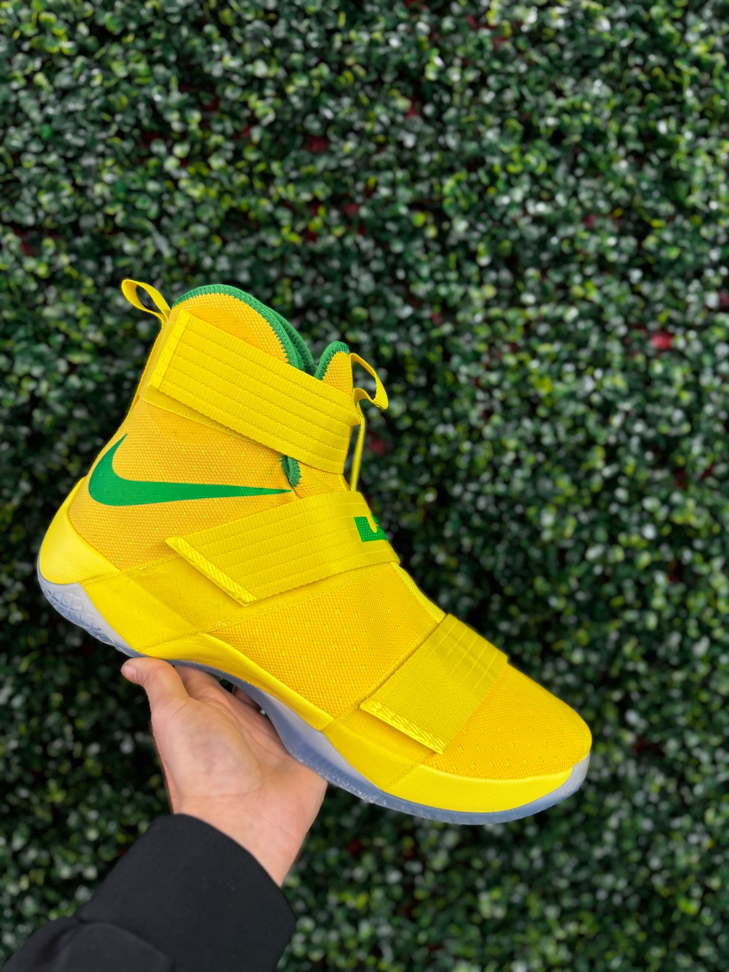 LeBron Soldier 10 Oregon PE