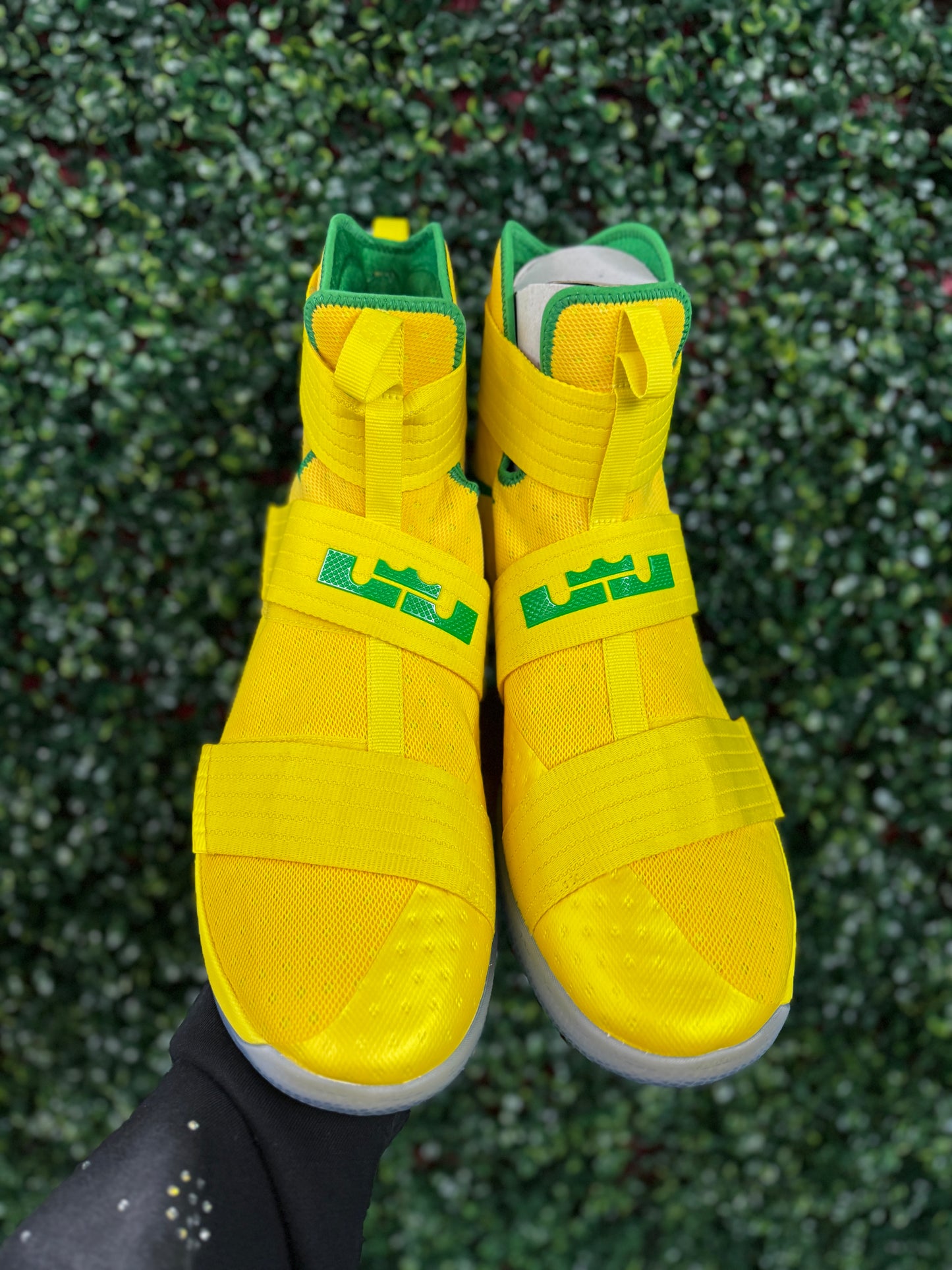 LeBron Soldier 10 Oregon PE